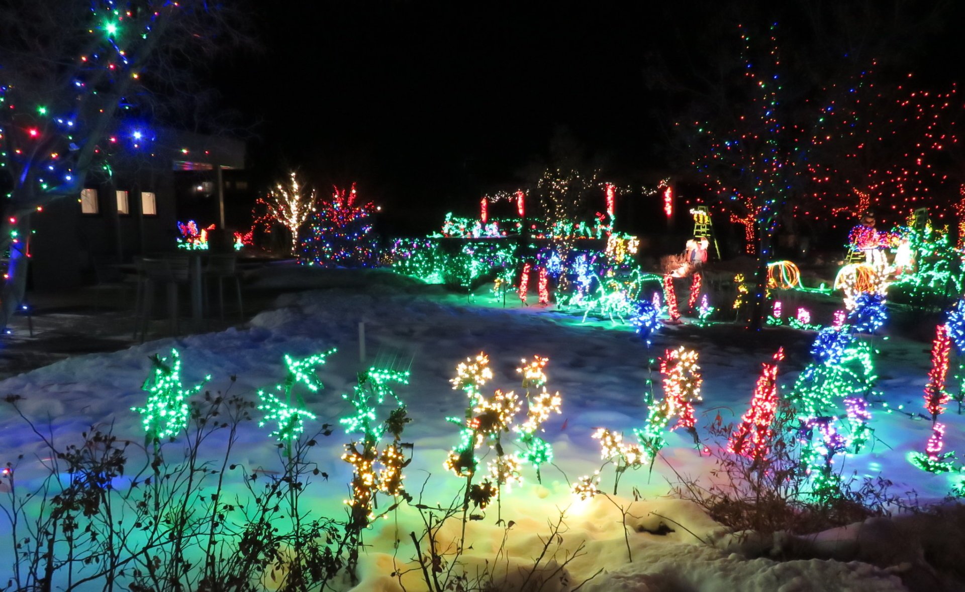 Fort Collins Christmas Lights 20242025 in Fort Collins, CO Dates