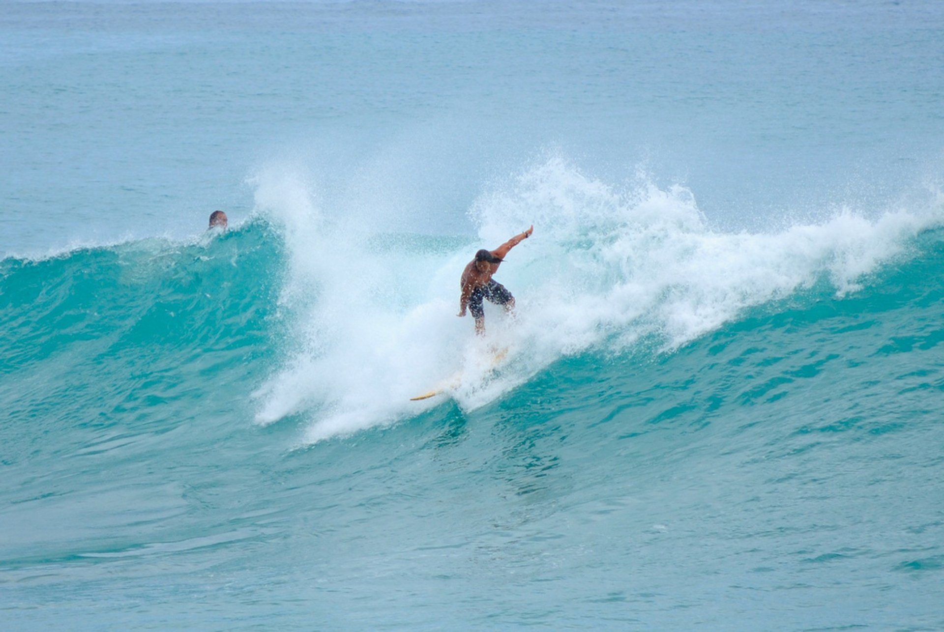 Surfen (Frühling und Herbst)