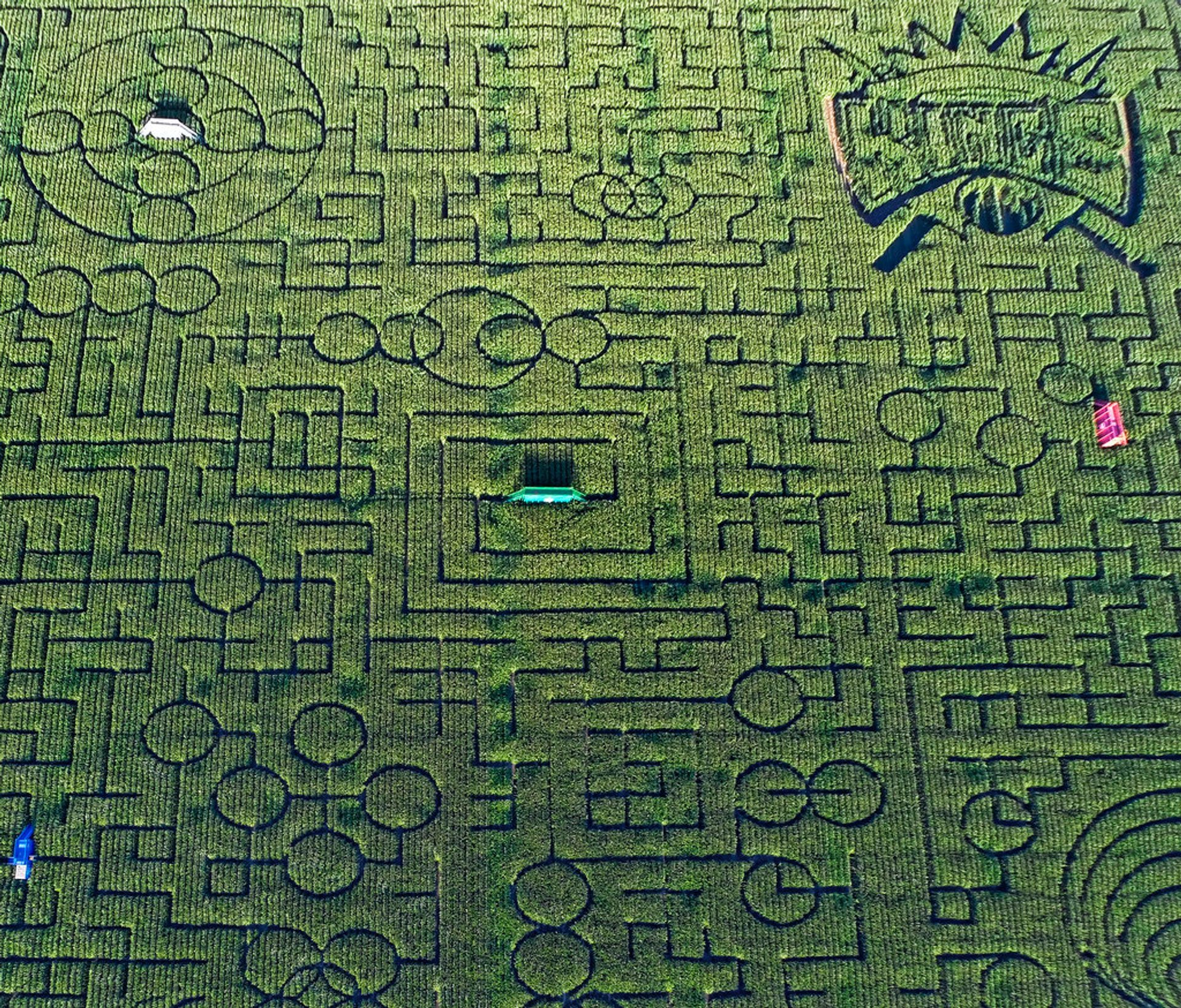 Best time for Cool Patch Pumpkins Corn Maze in California 2024