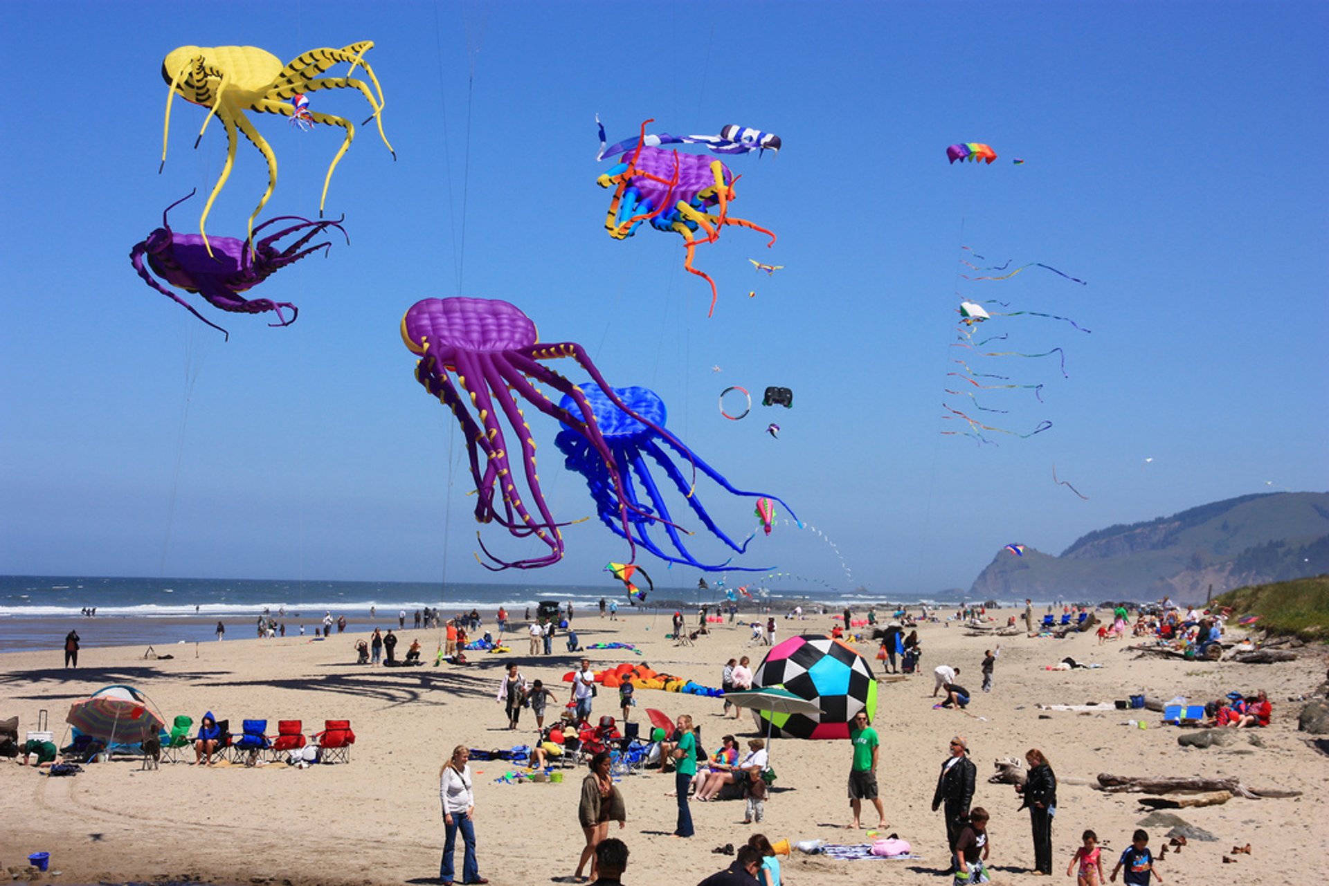 Lincoln City Kite Festival 2024 in Portland Dates