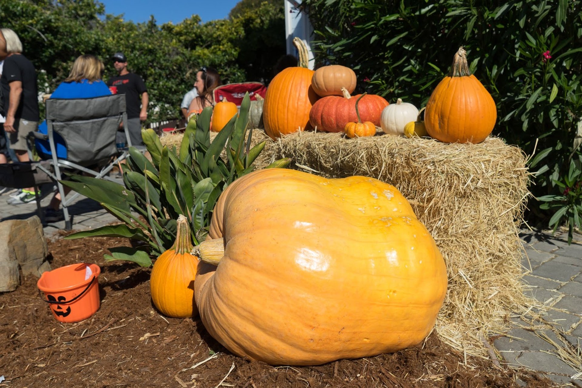 Half Moon Bay Pumpkin Festival 2024 in San Francisco Dates