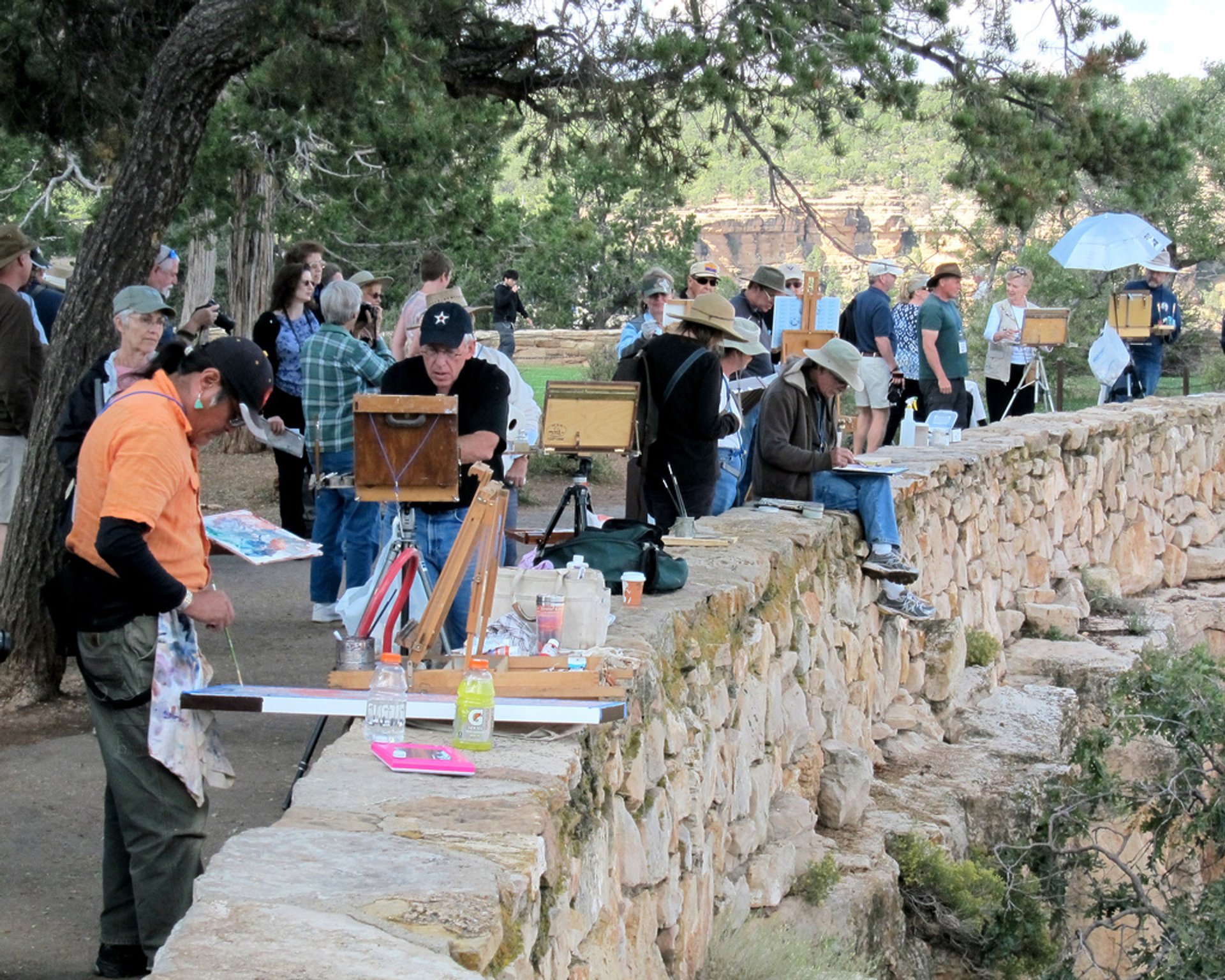 Grand Canyon Celebration of Art