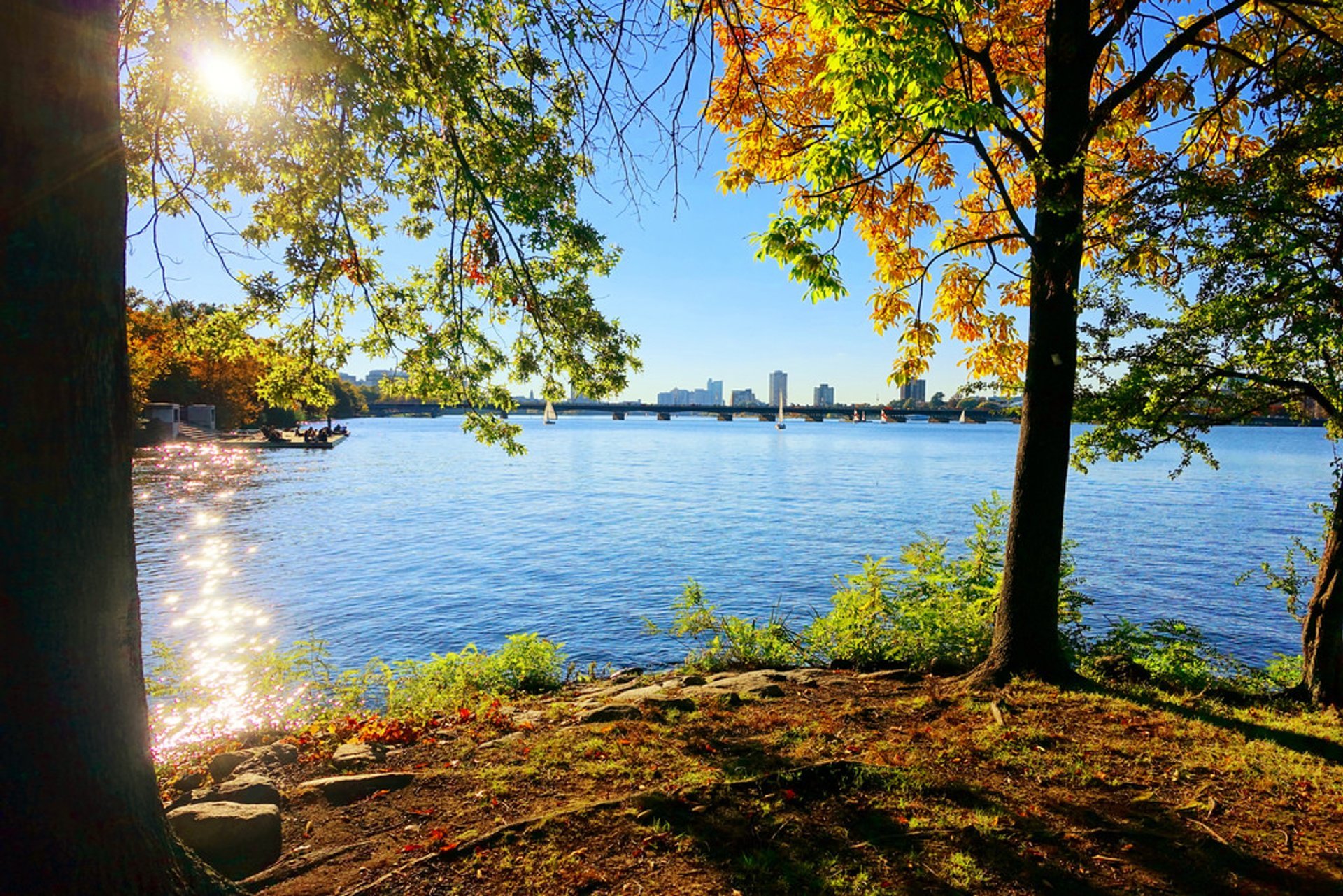 Fogliame autunno a Boston e dintorni