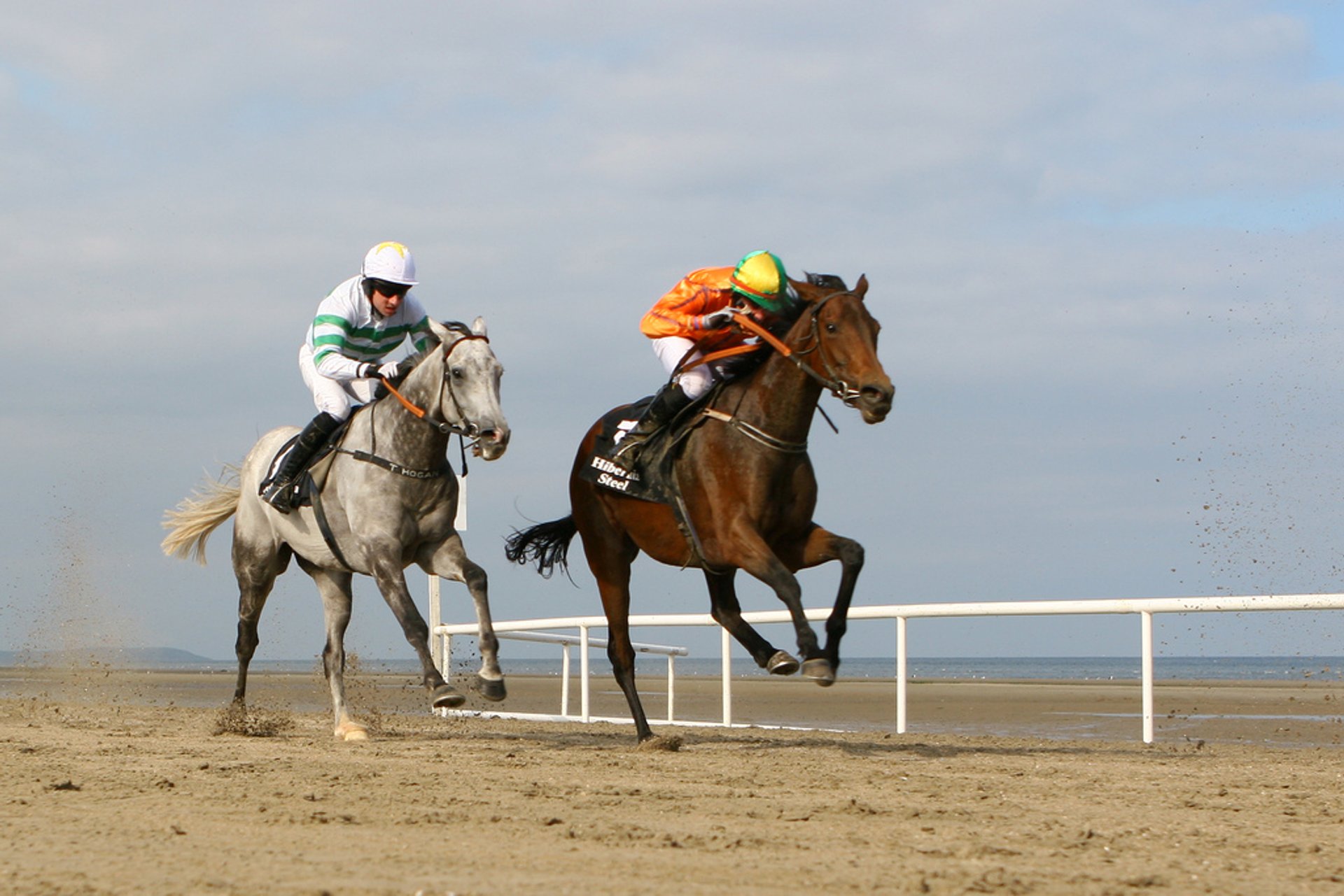 Razze di spiaggia di Laytown