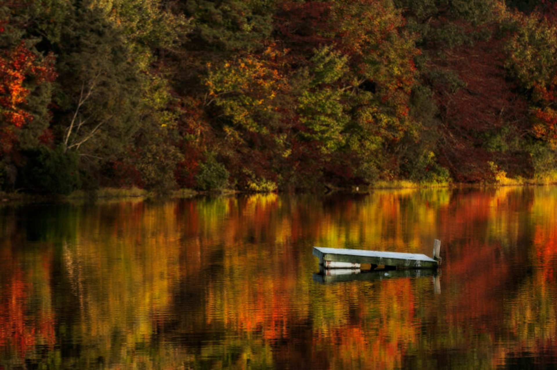 Cores de Outono do Cape Cod