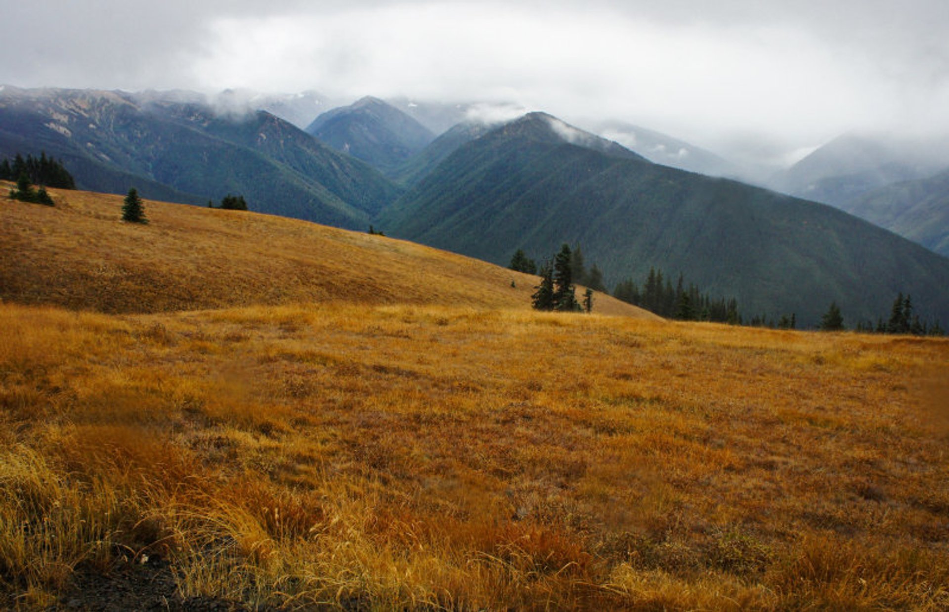 Washington Herbstlaub