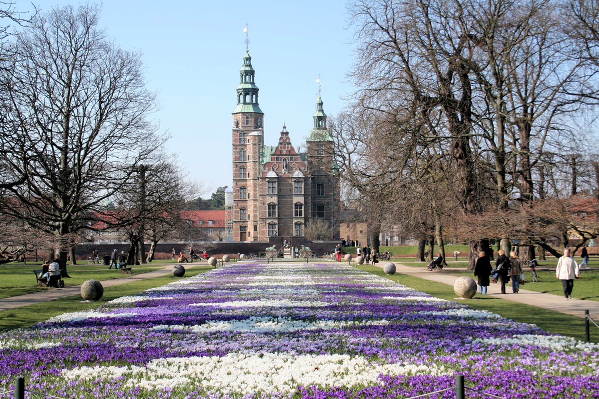 Azafrán Floreciendo en el Castillo de Rosenborg