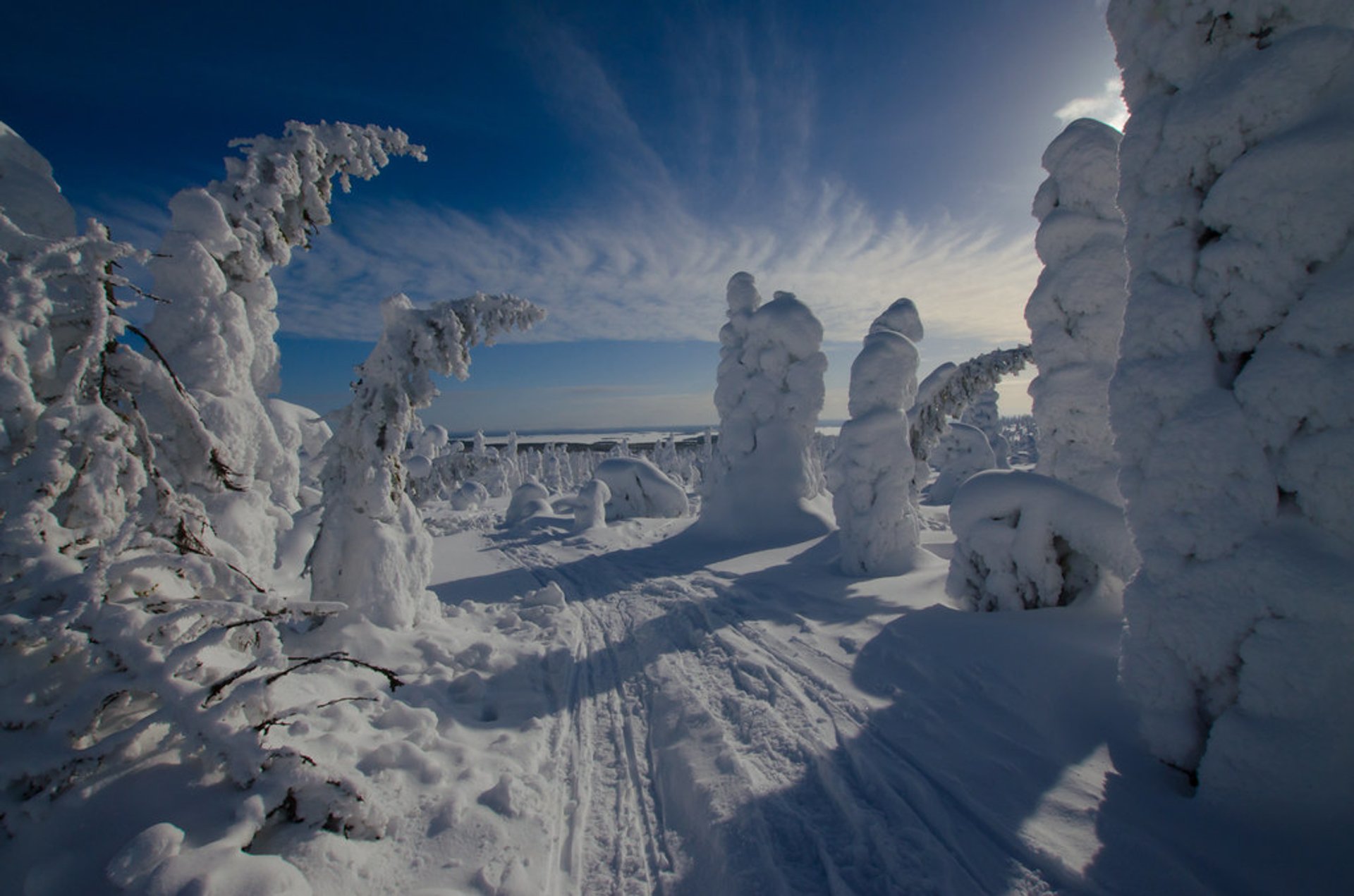 Tykky in Riisitunturi National Park