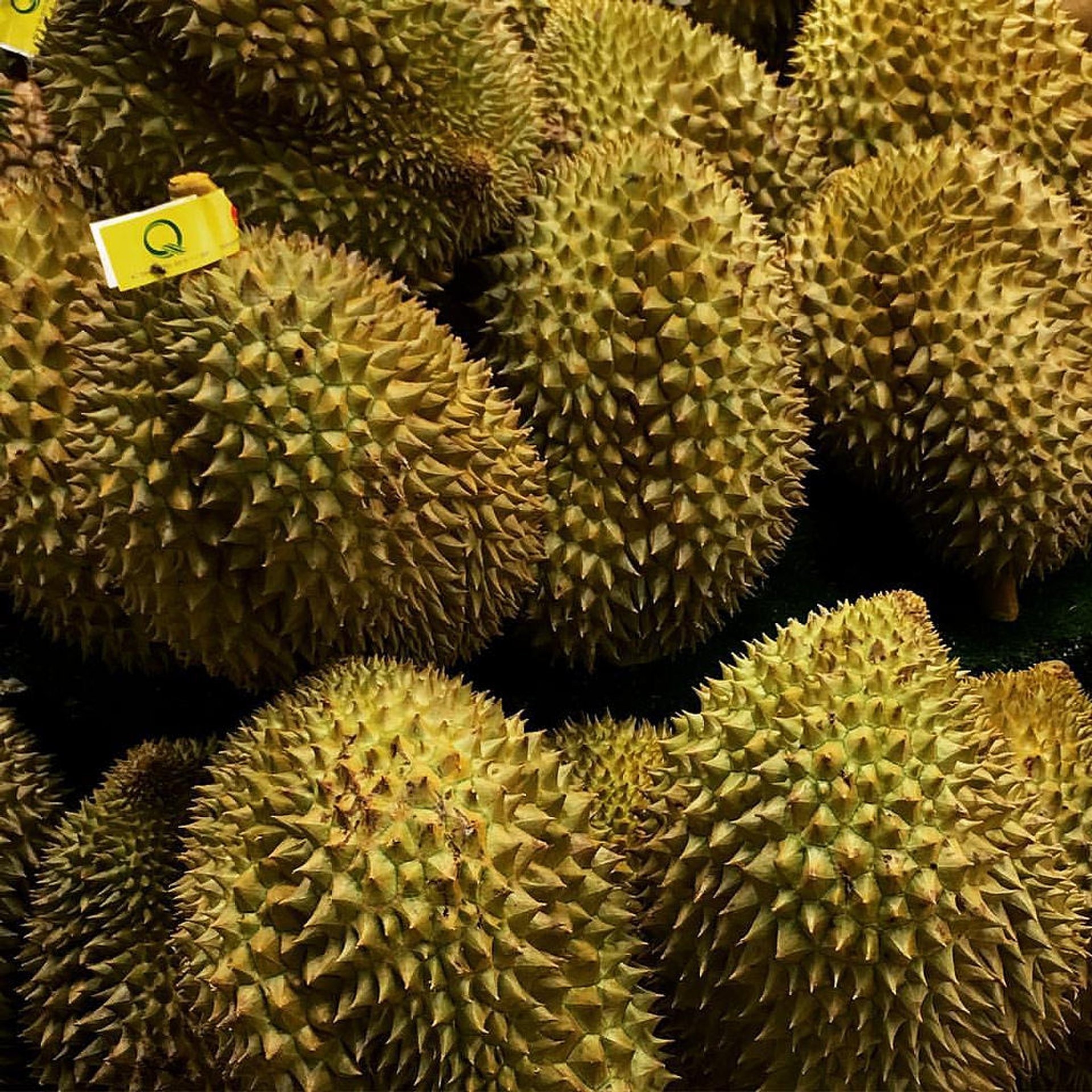 Durian