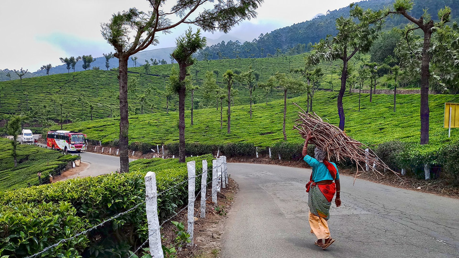 Route de Munnar