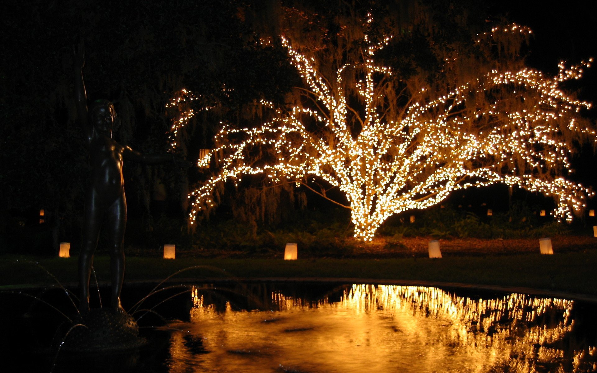 Lumières de Noël