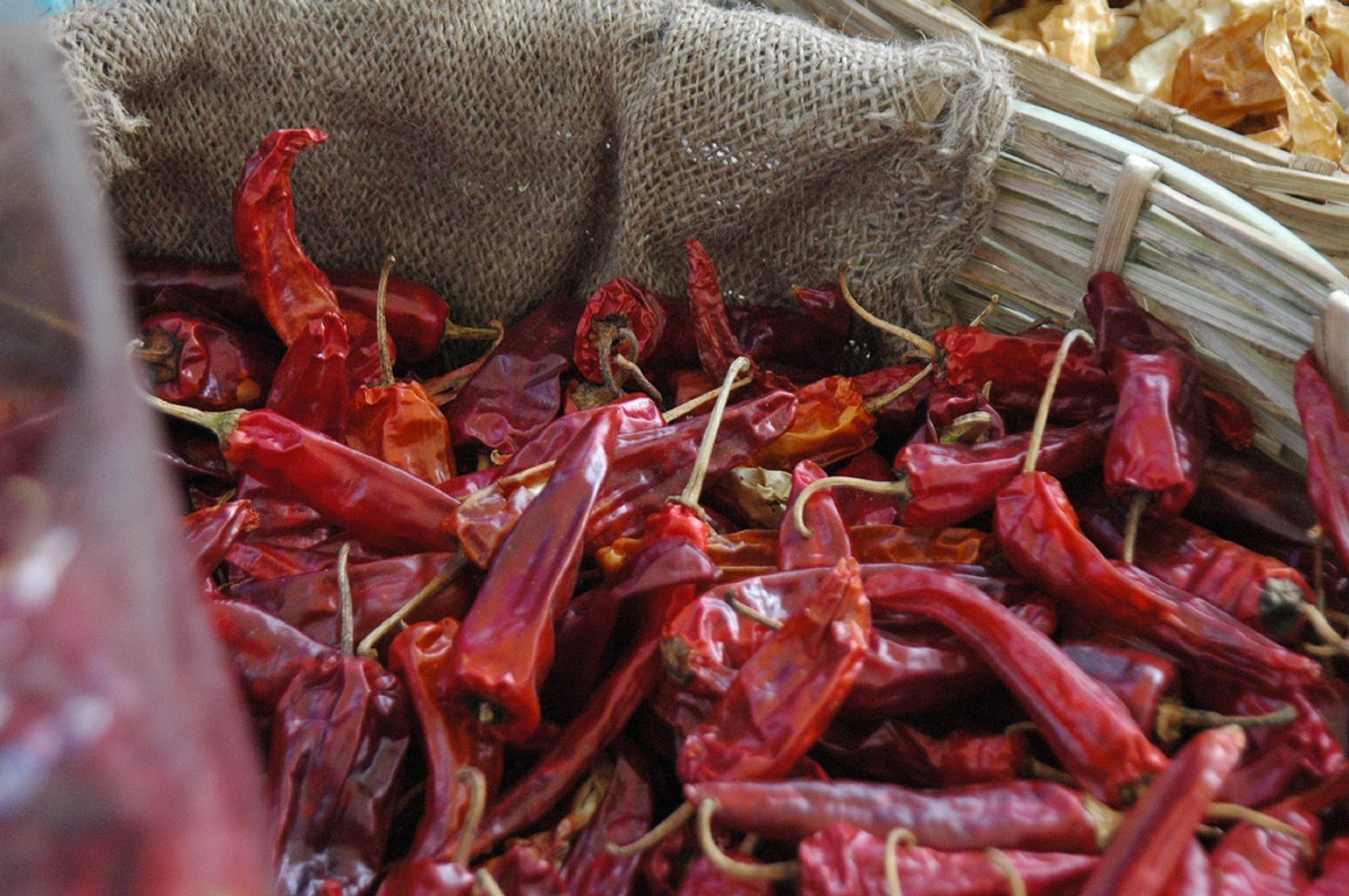 Red Chilli Peppers Season