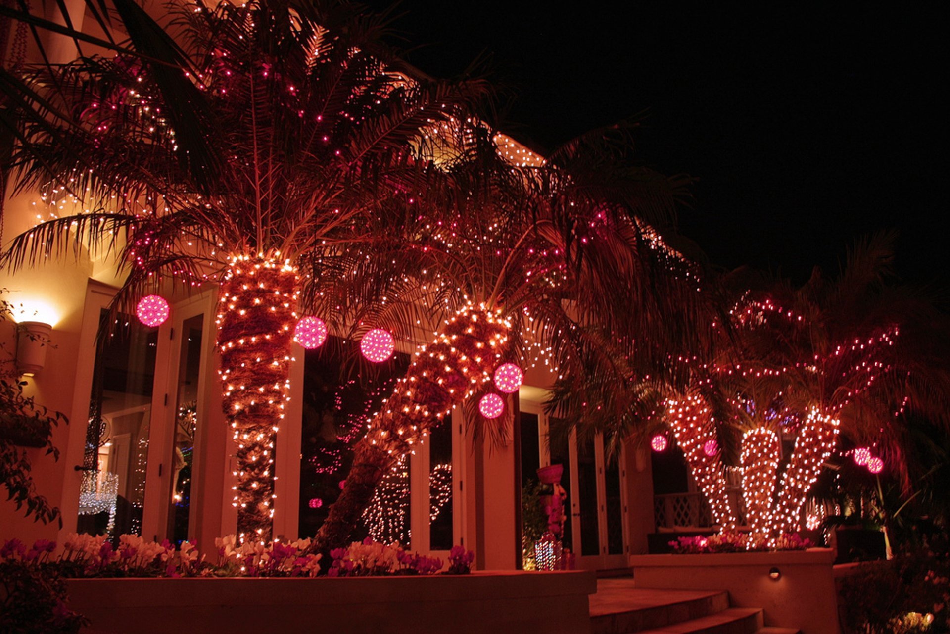 Lumières de Noël de Long Beach