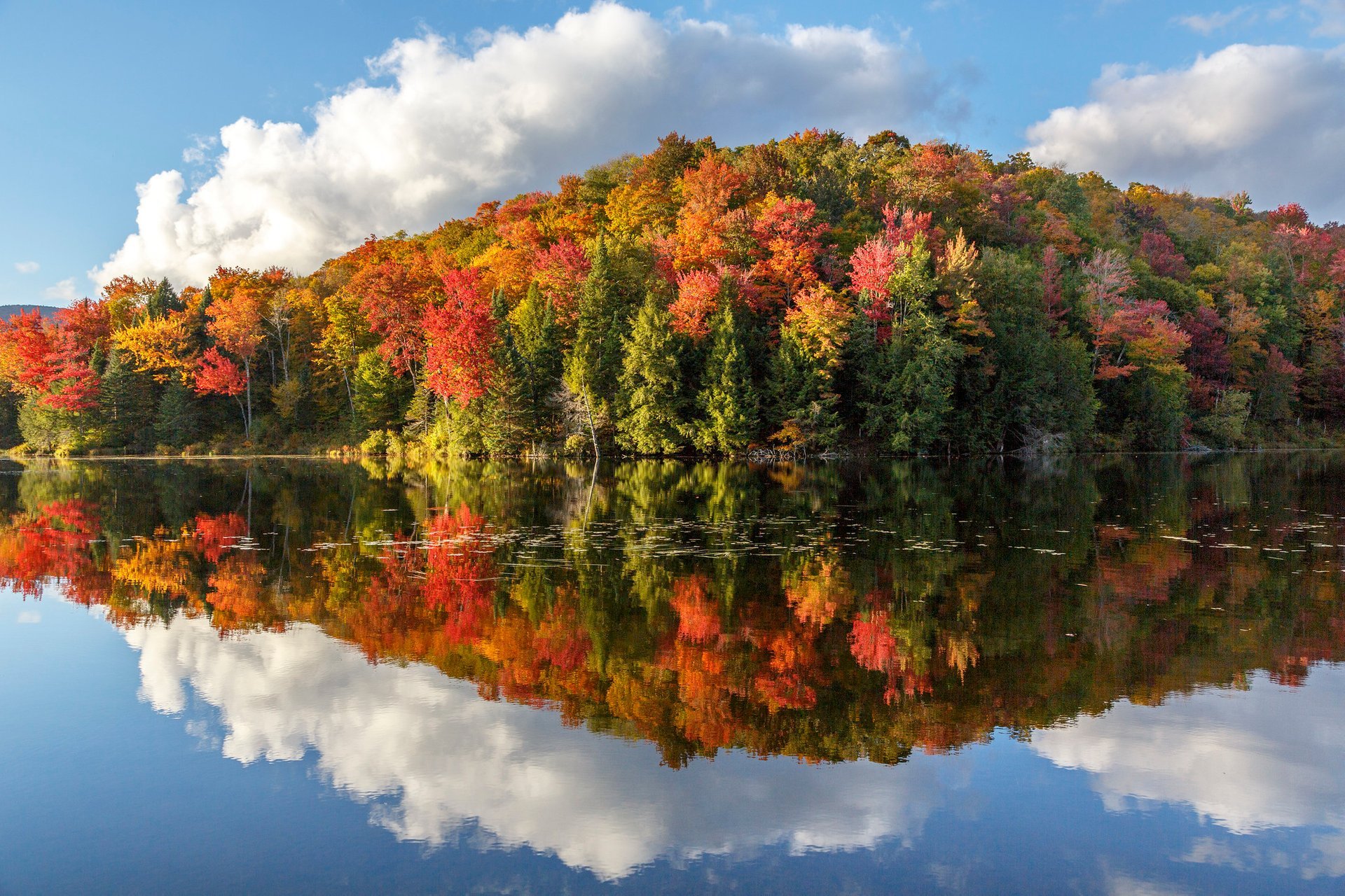 Folhagem de Outono de Vermont