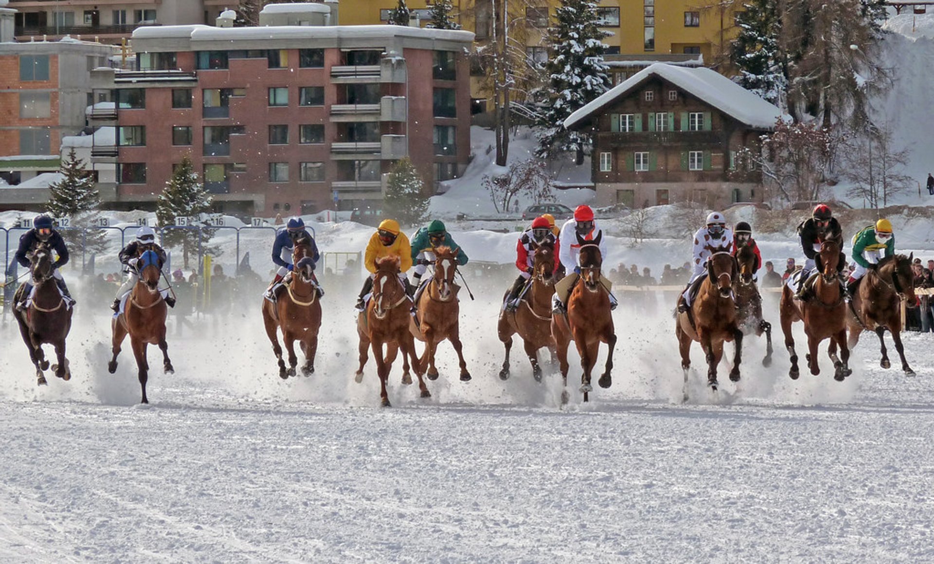 Weiße Turf St. Moritz