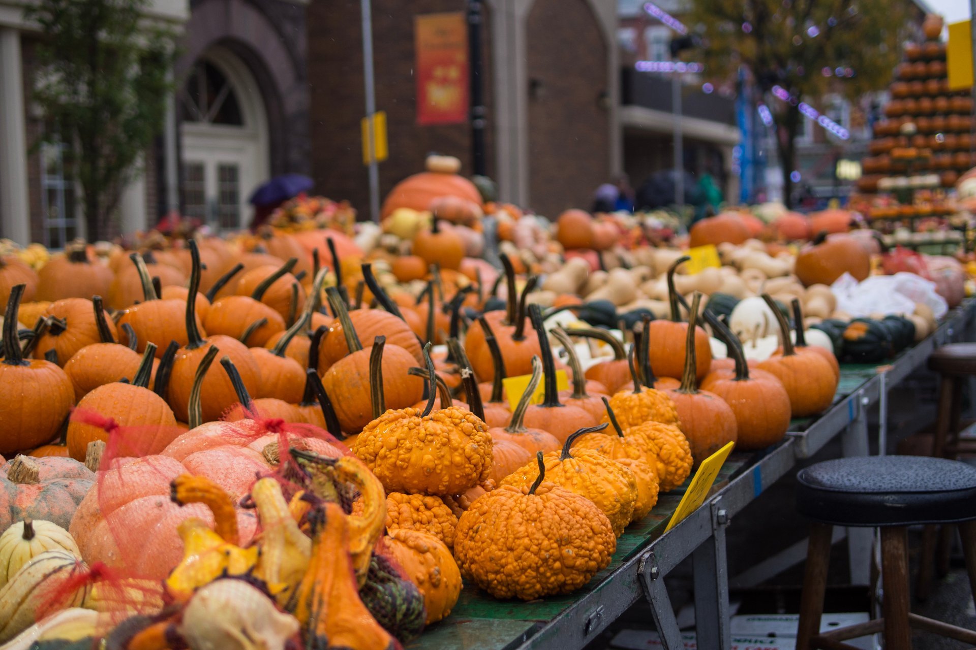 Circleville Pumpkin Show 2024 in Ohio Dates