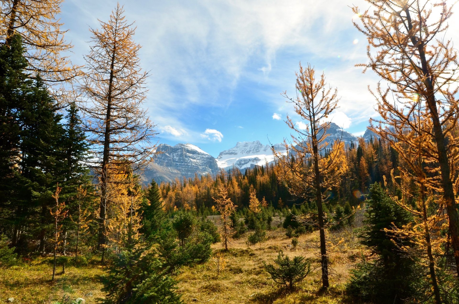 Colori autunnali Banff