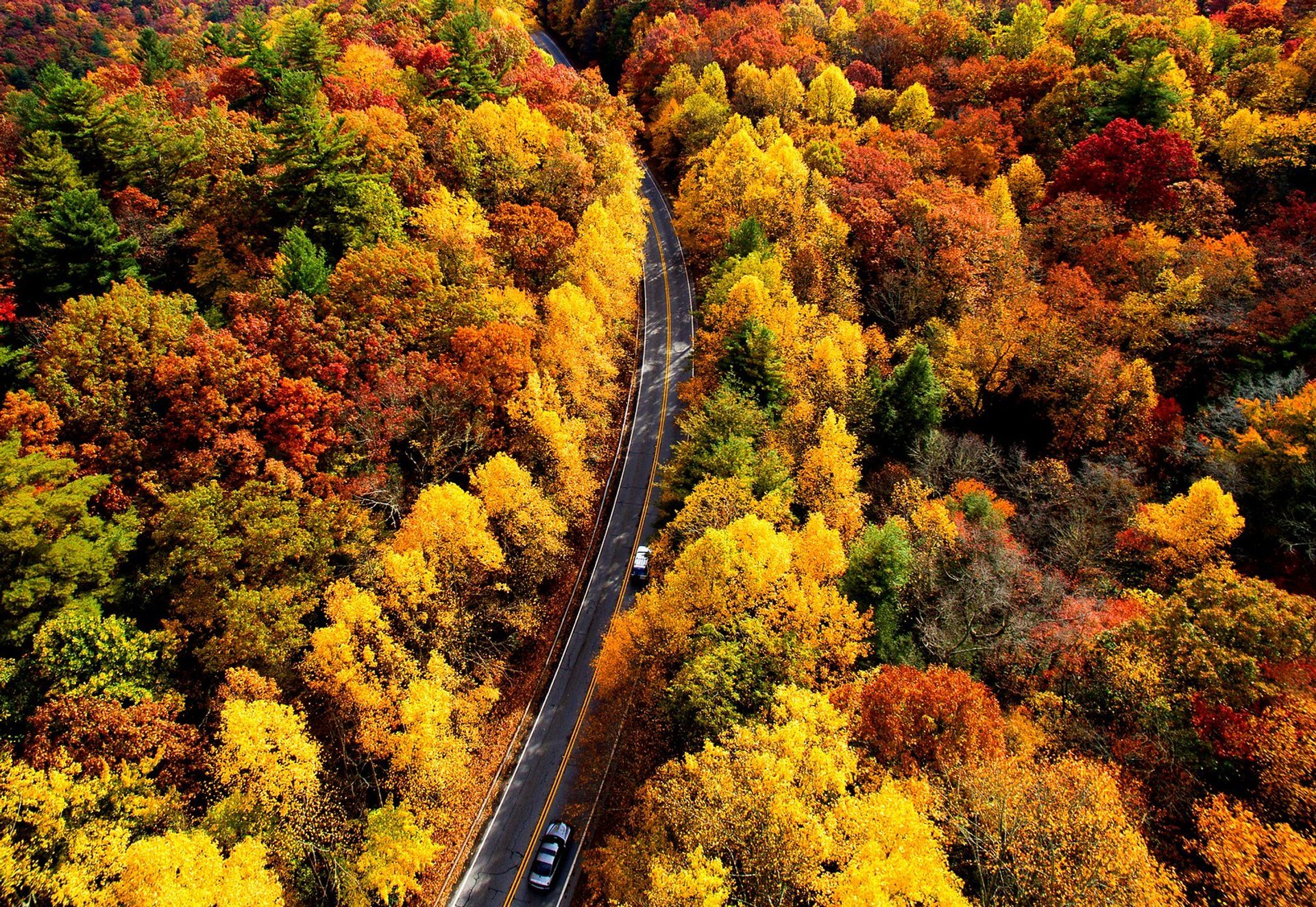 Georgien Herbstlaub