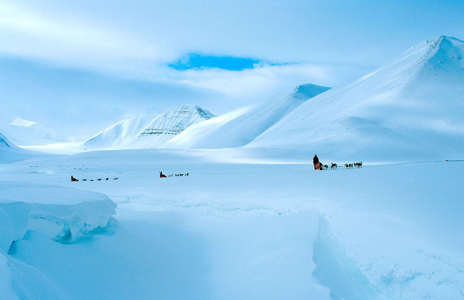 Dog Sledding