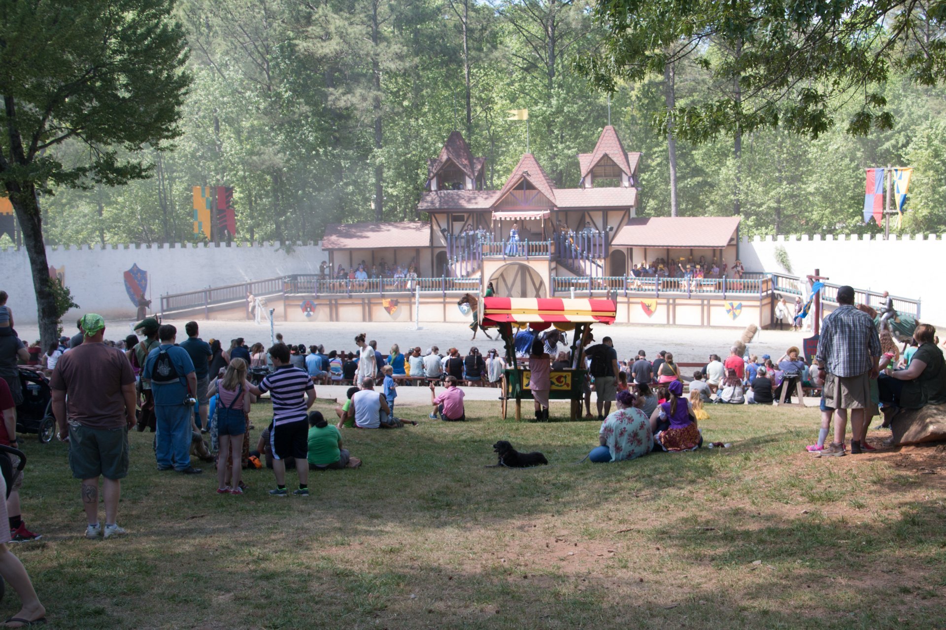 Georgia Renaissance Festival