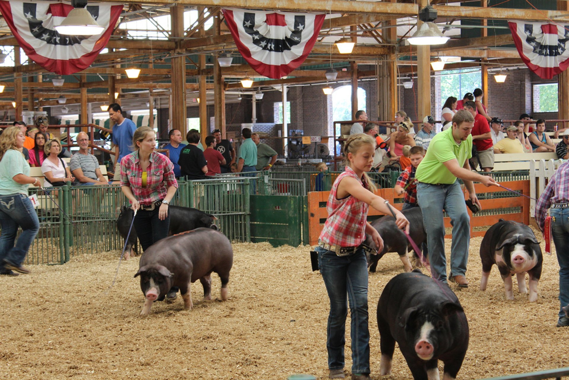 Illinois State Fair (Feria Estatal de Illinois)