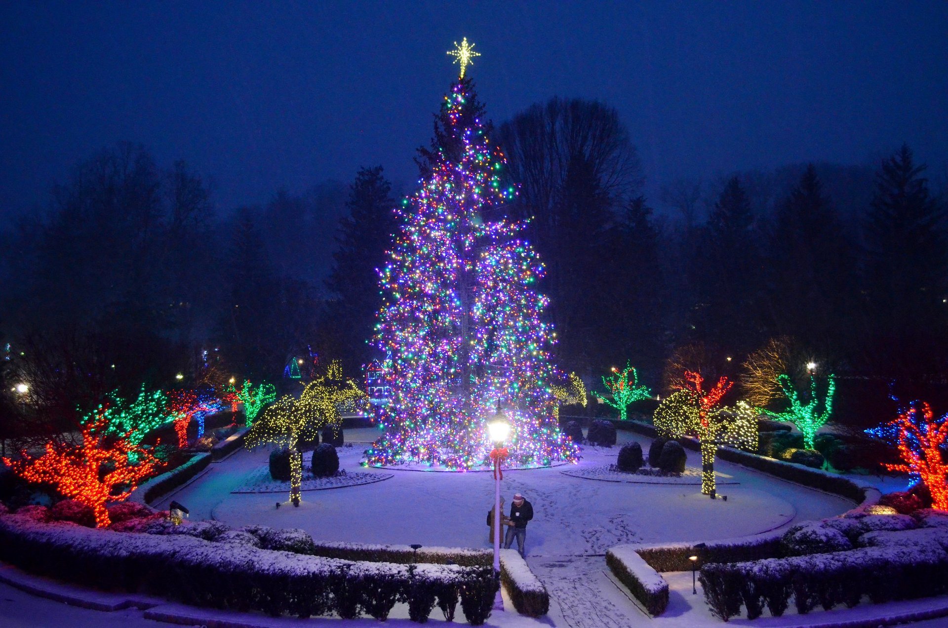 Lumières de Noël