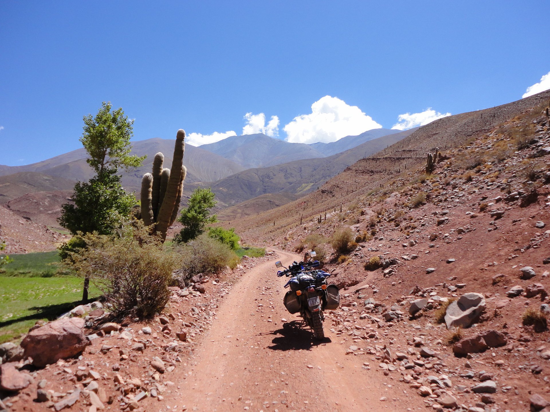 ruta 40 argentina road trip