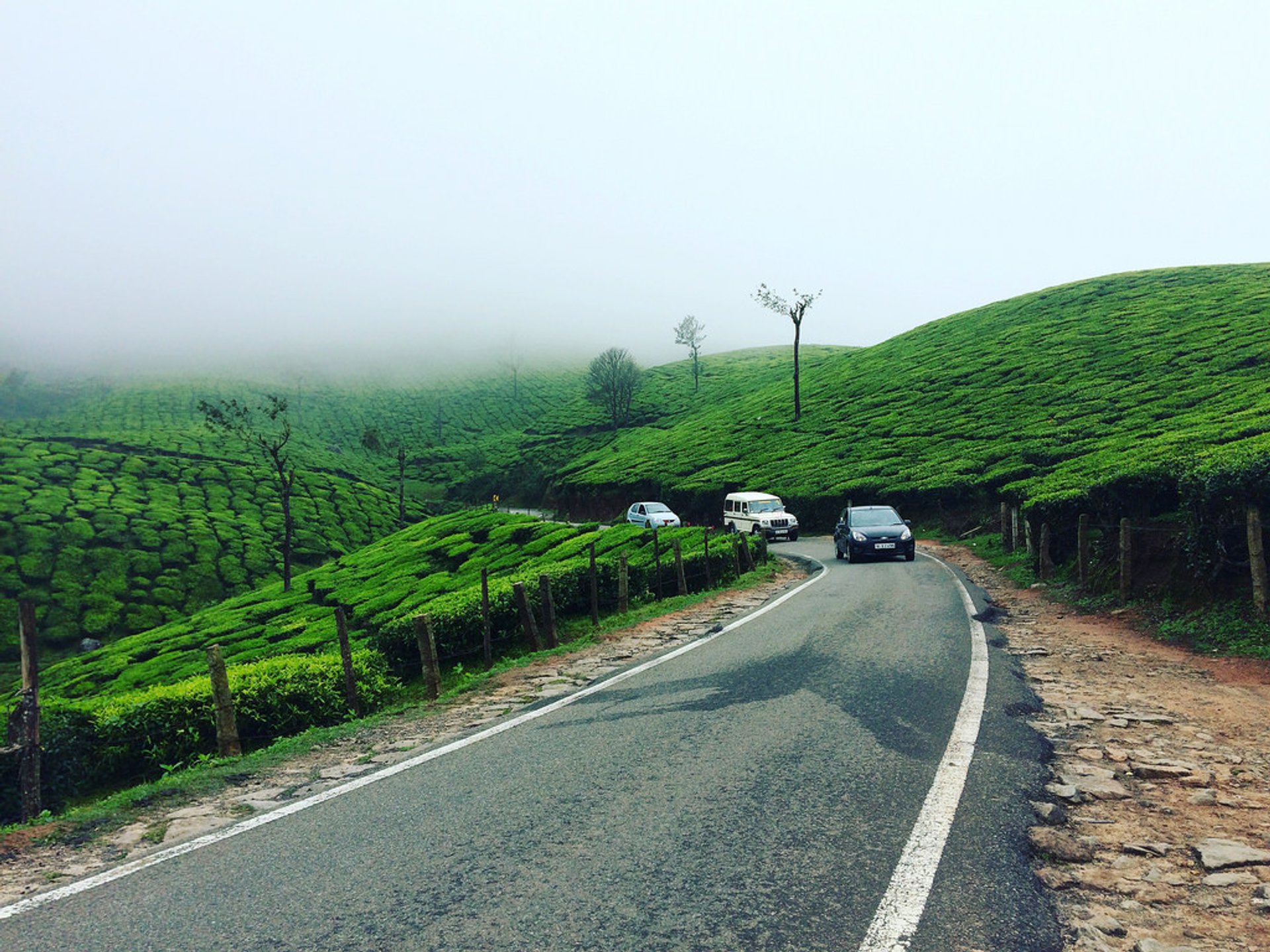 Ruta Munnar