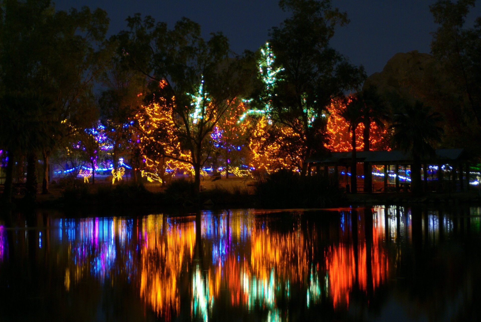 Phoenix ZooLights 20242025 Rove.me