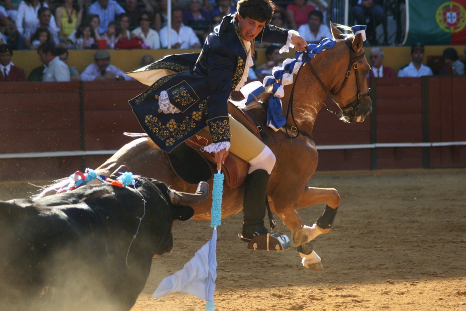 Lisbon Bullfighting