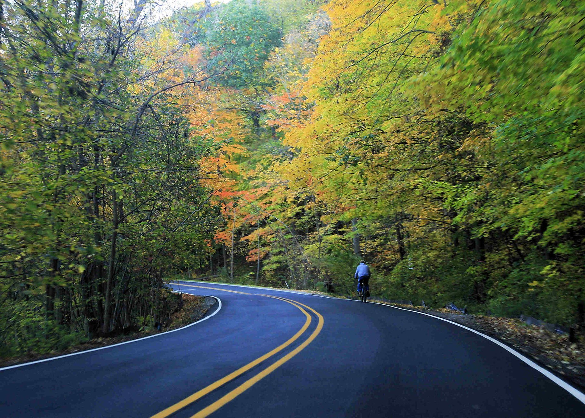 Cores do Outono em Ann Arbor