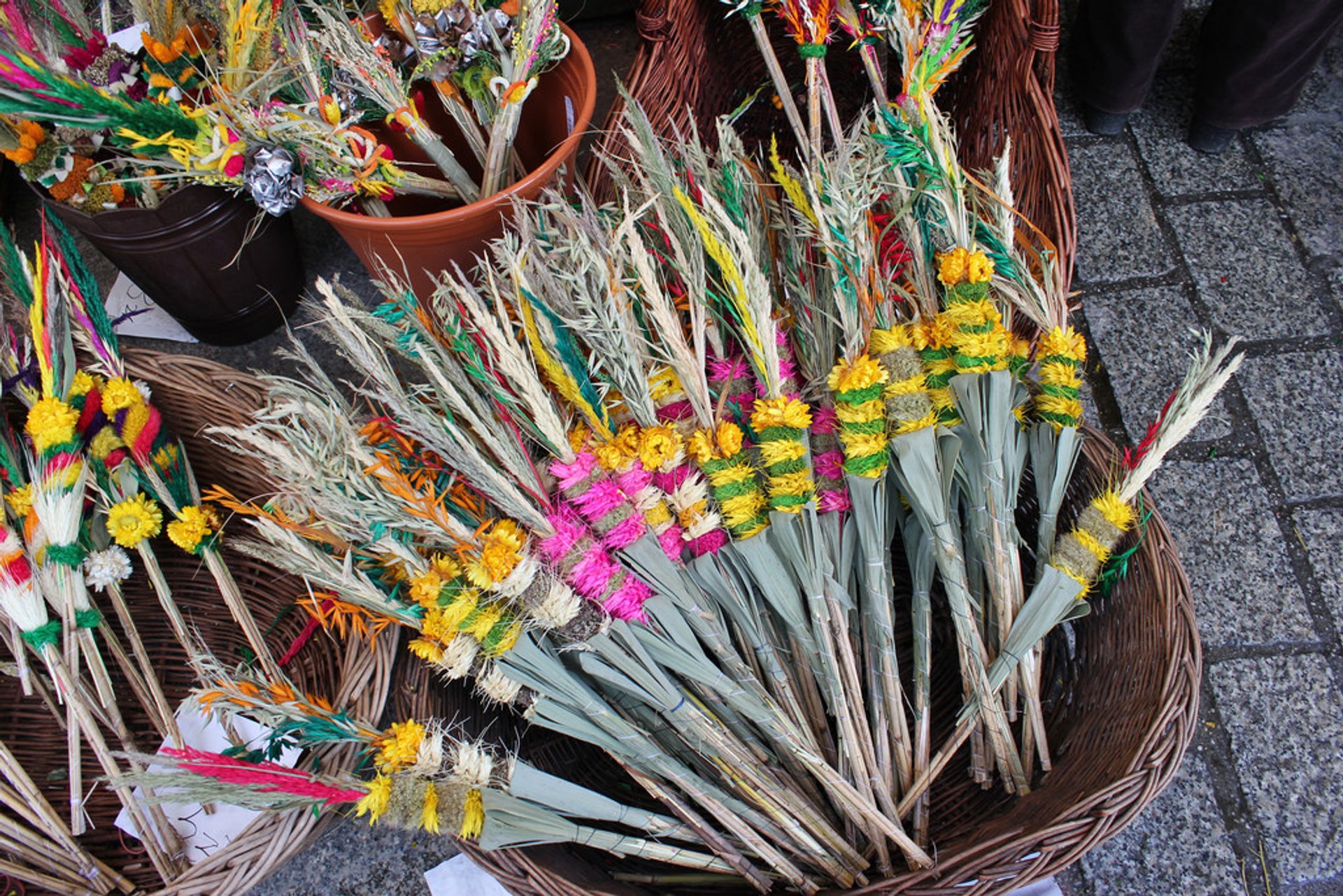 Domingo de Ramos em Lipnica Murowana