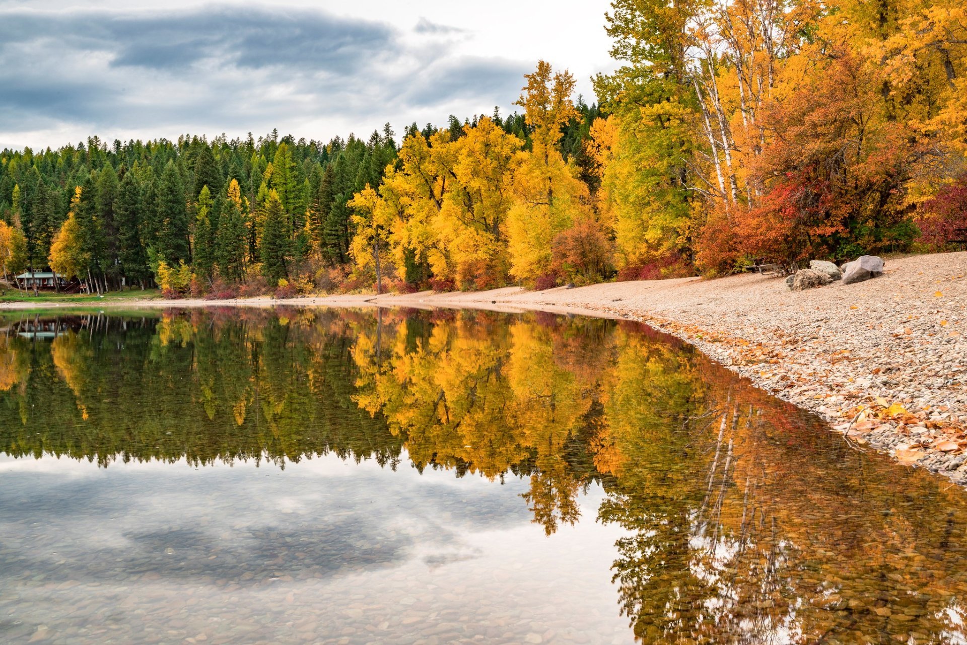 Montana Herbstlaub