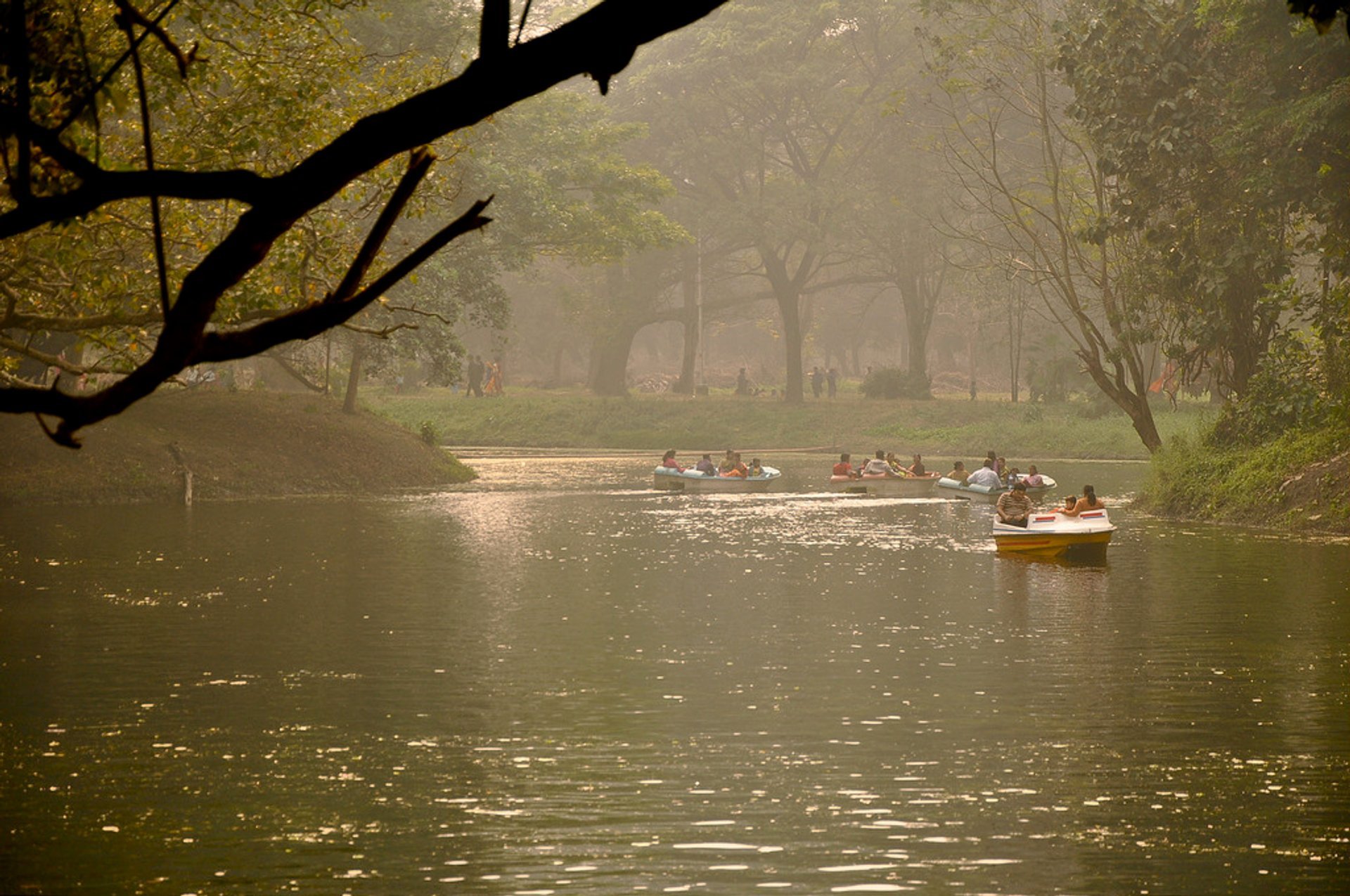 Great Banyan Tree