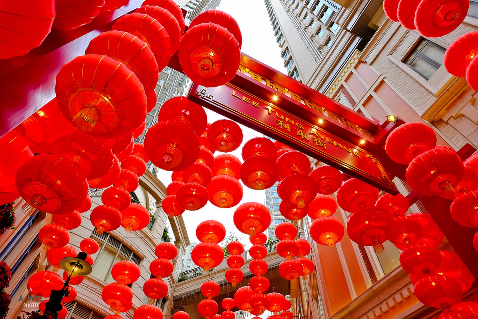 where can i buy chinese lanterns near me