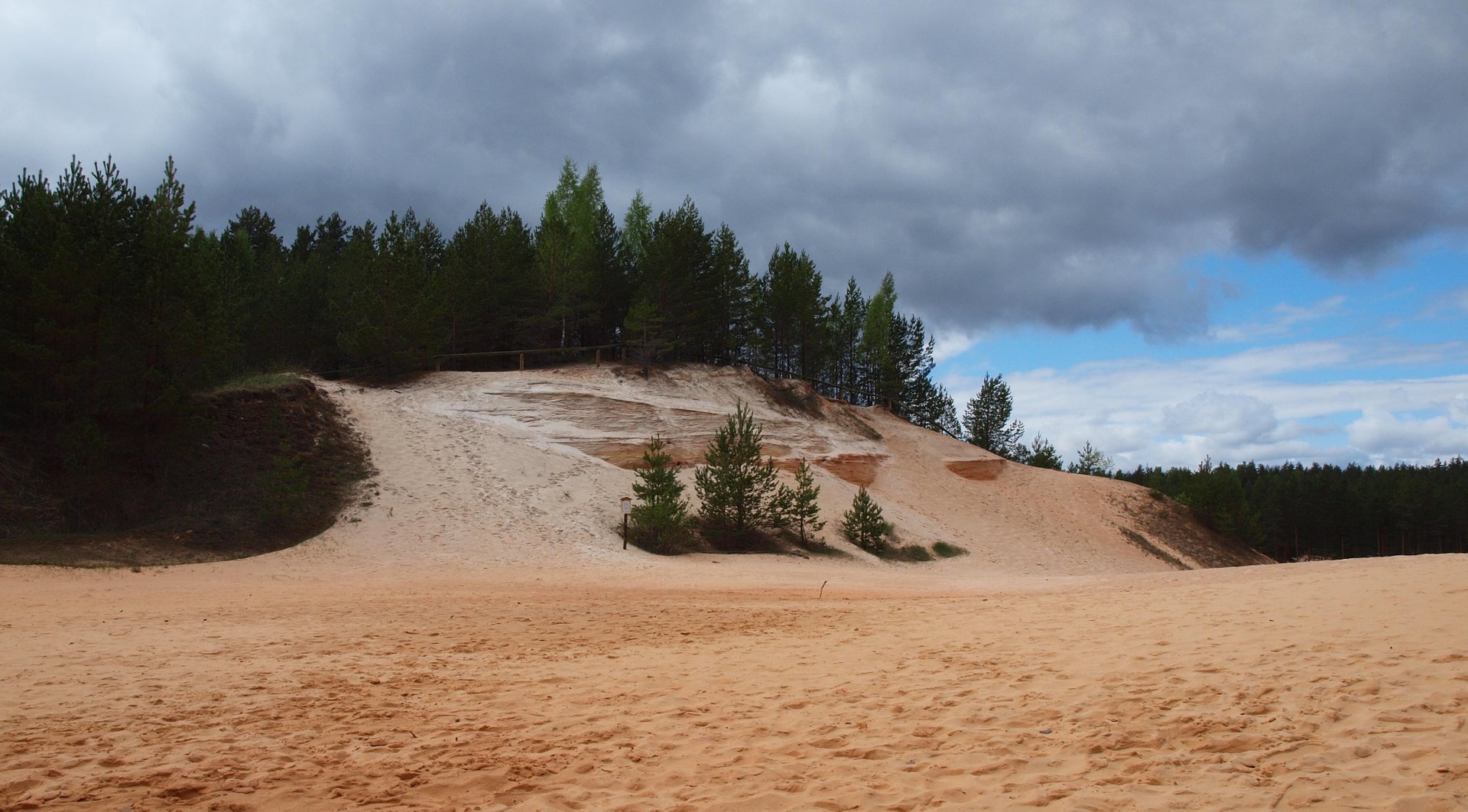 Fledermäuse in Piusa Sandhöhlen