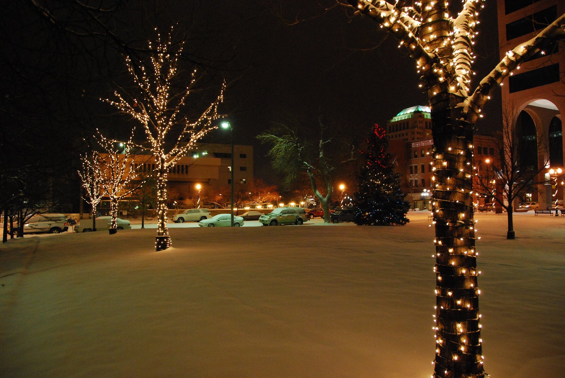 Lumières de Noël