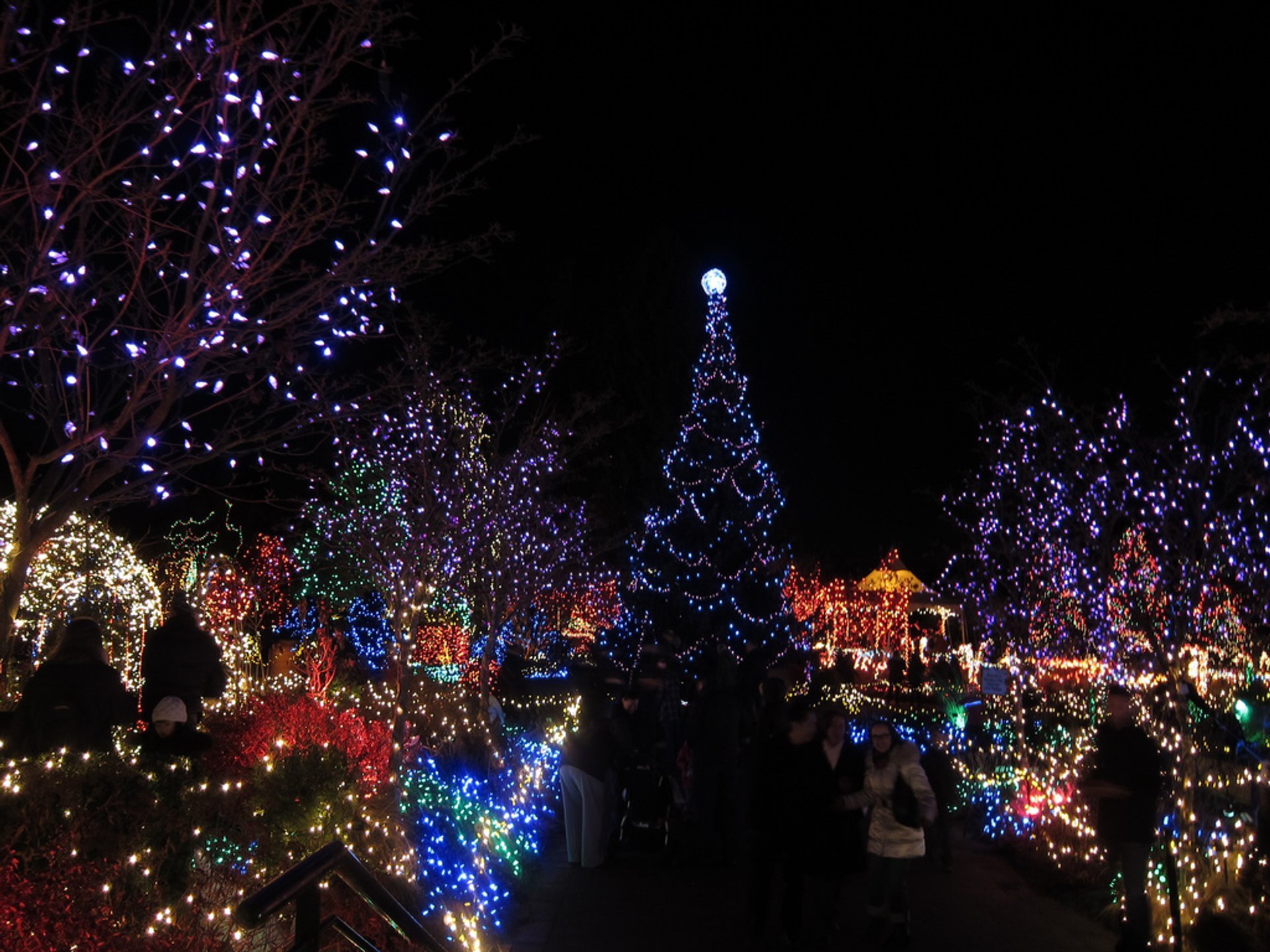 Gallipolis Christmas Lights 2022 Vandusen Festival Of Lights 2022-2023 In Vancouver - Dates