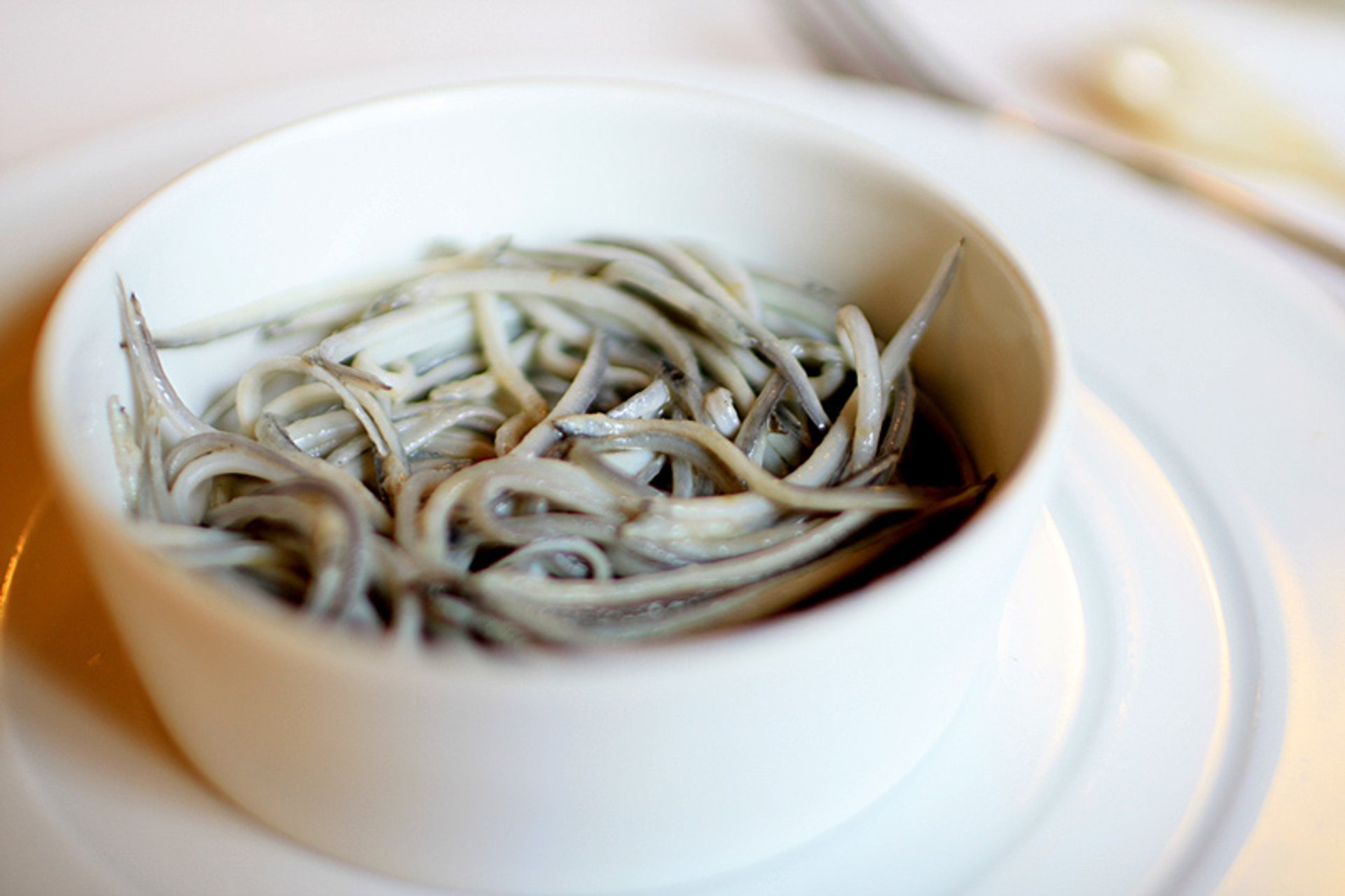 Angulas (Baby Eels)