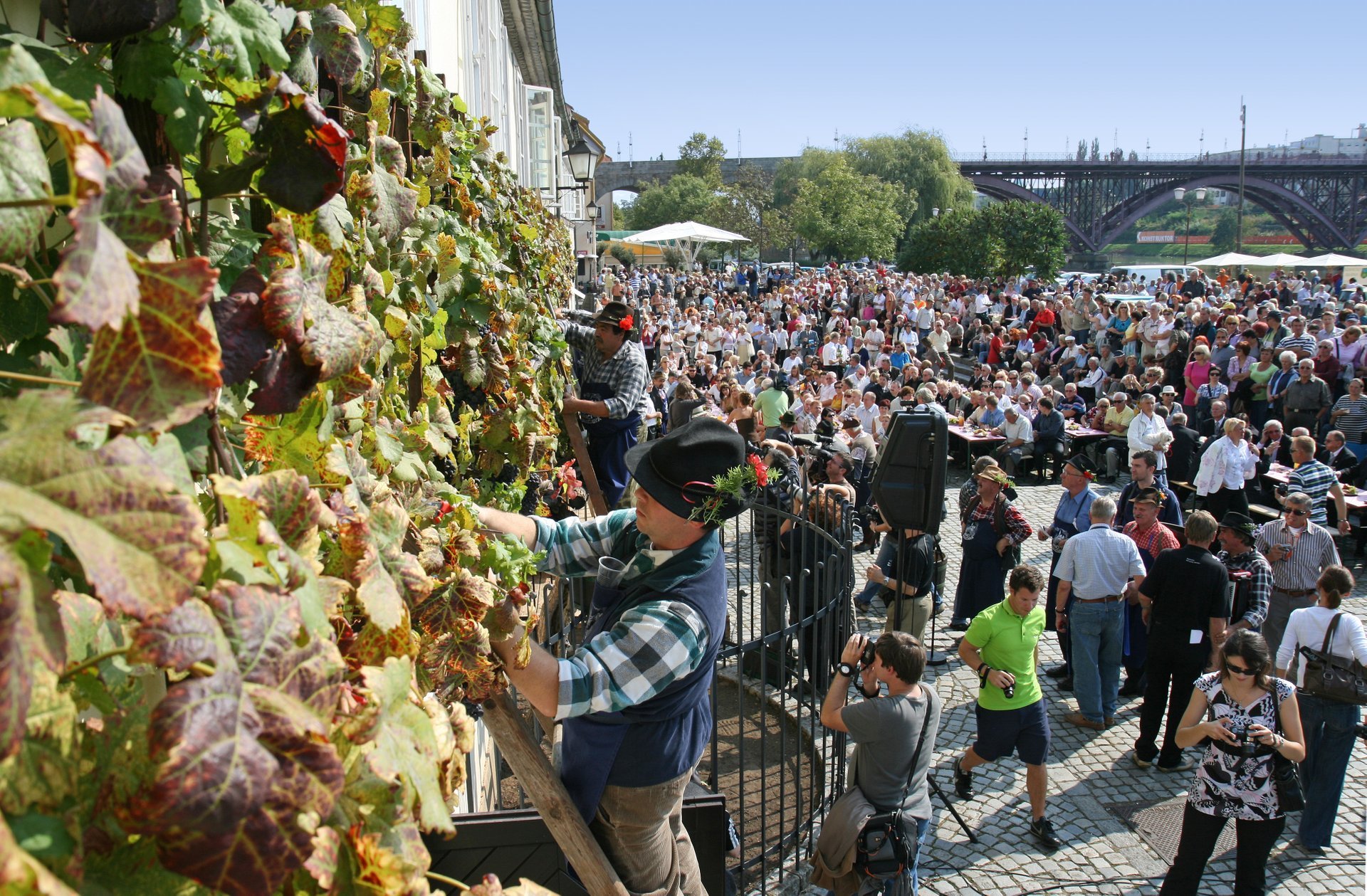 Temporada de vinos