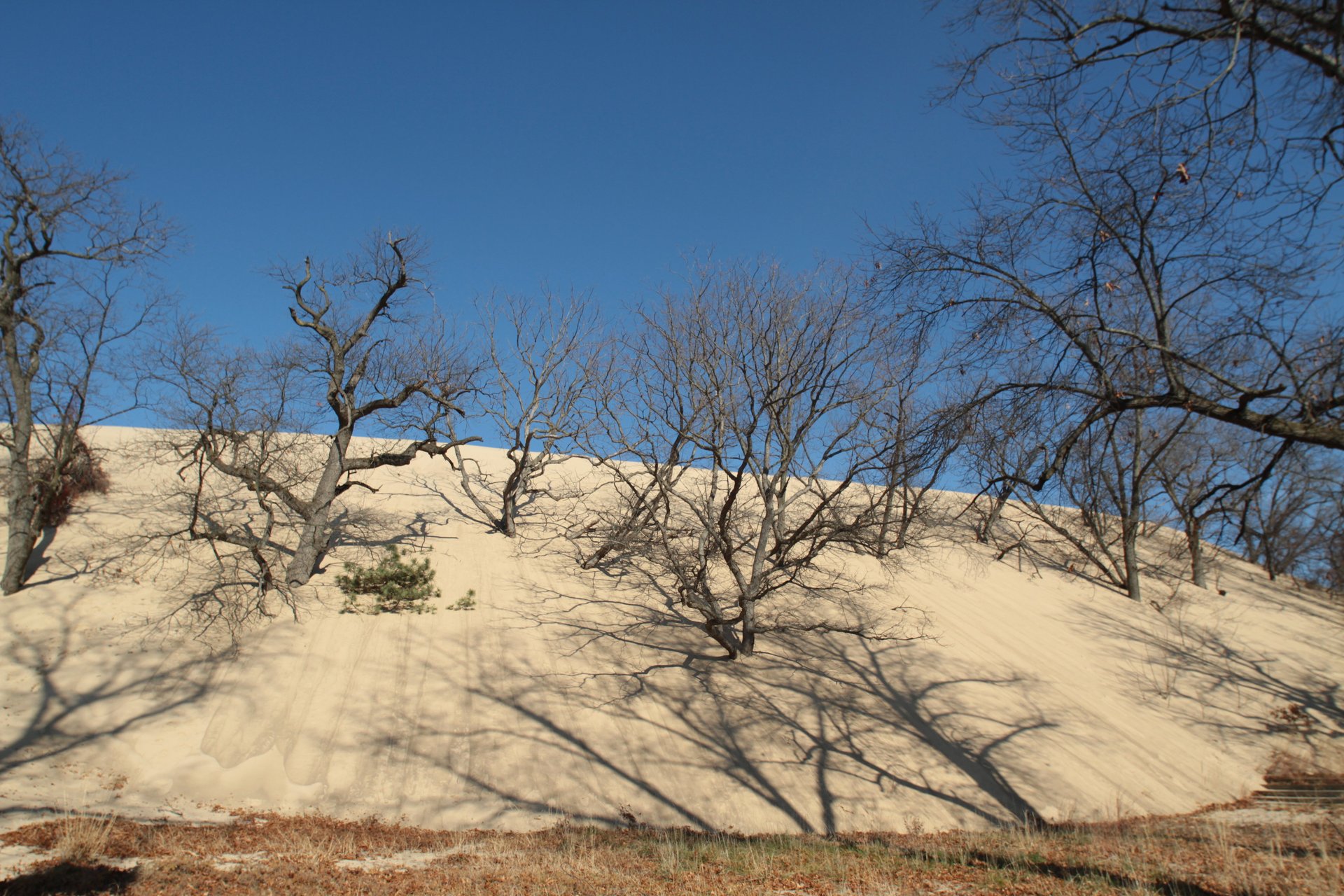 Parc national des dunes de l'Indiana