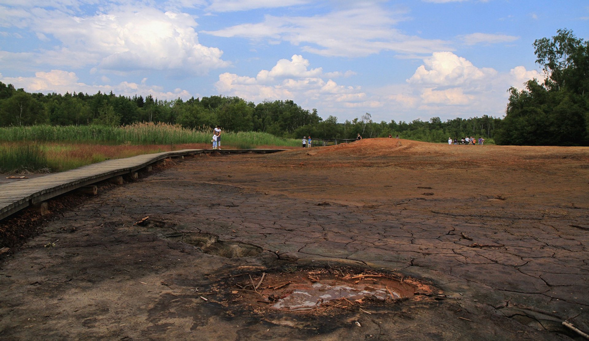 Soos National Nature Reserve