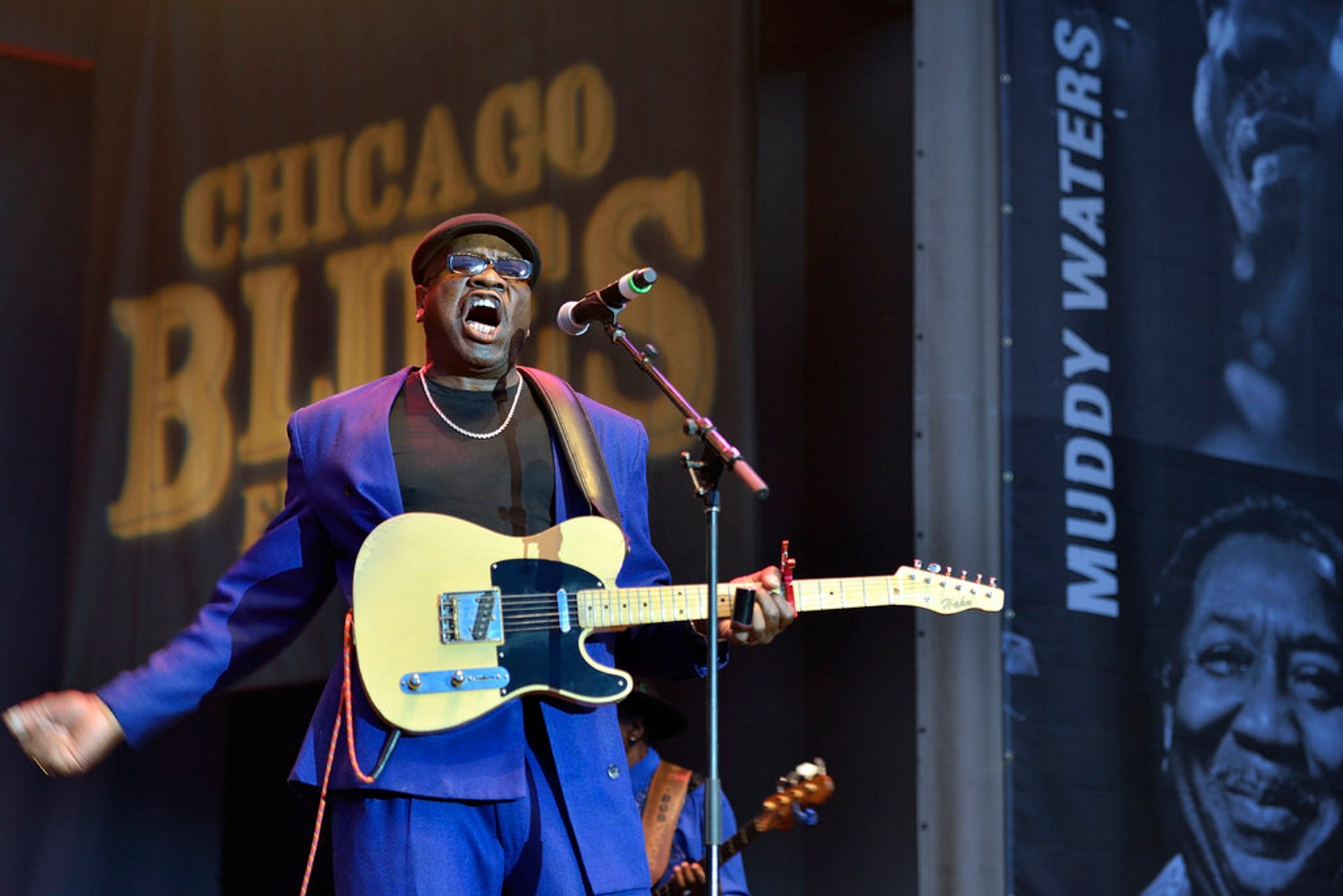 Chicago Blues Festival

