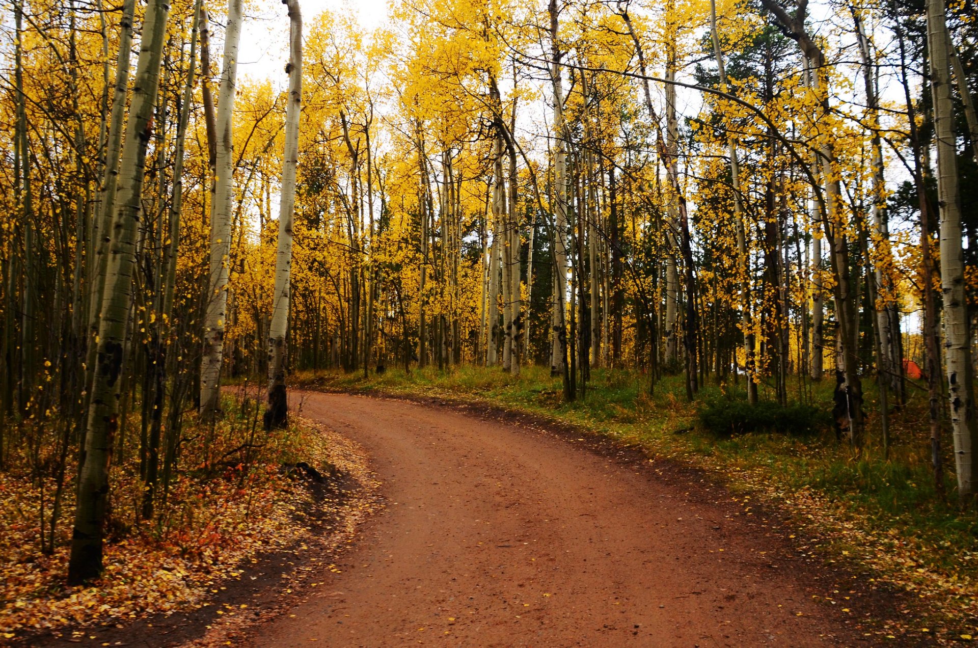 Kenosha Pass Cores de Outono