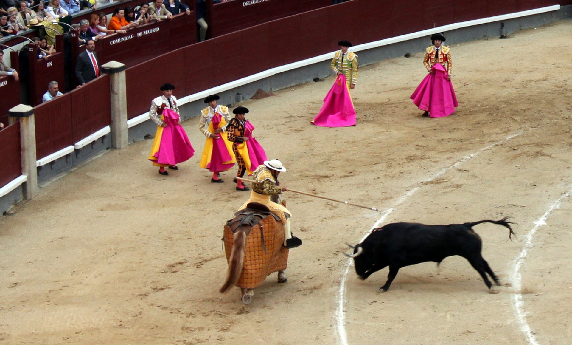 San Fermin - corrida de touros em Pamplona - Tauromania