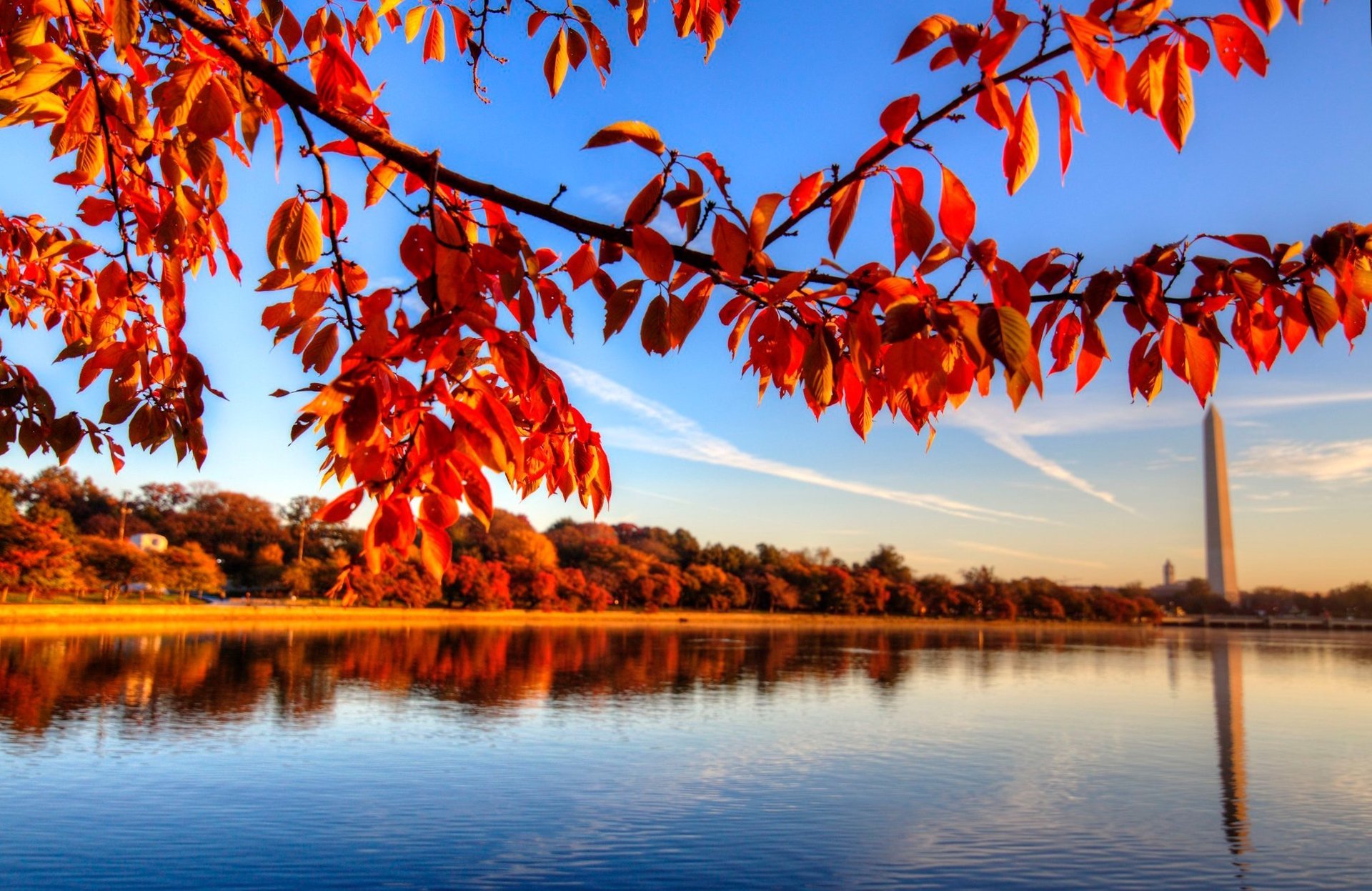 Folhagem de outono em Washington 