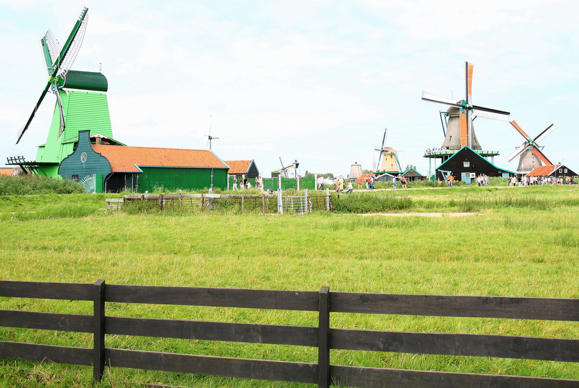 Campagne néerlandaise et moulins à vent