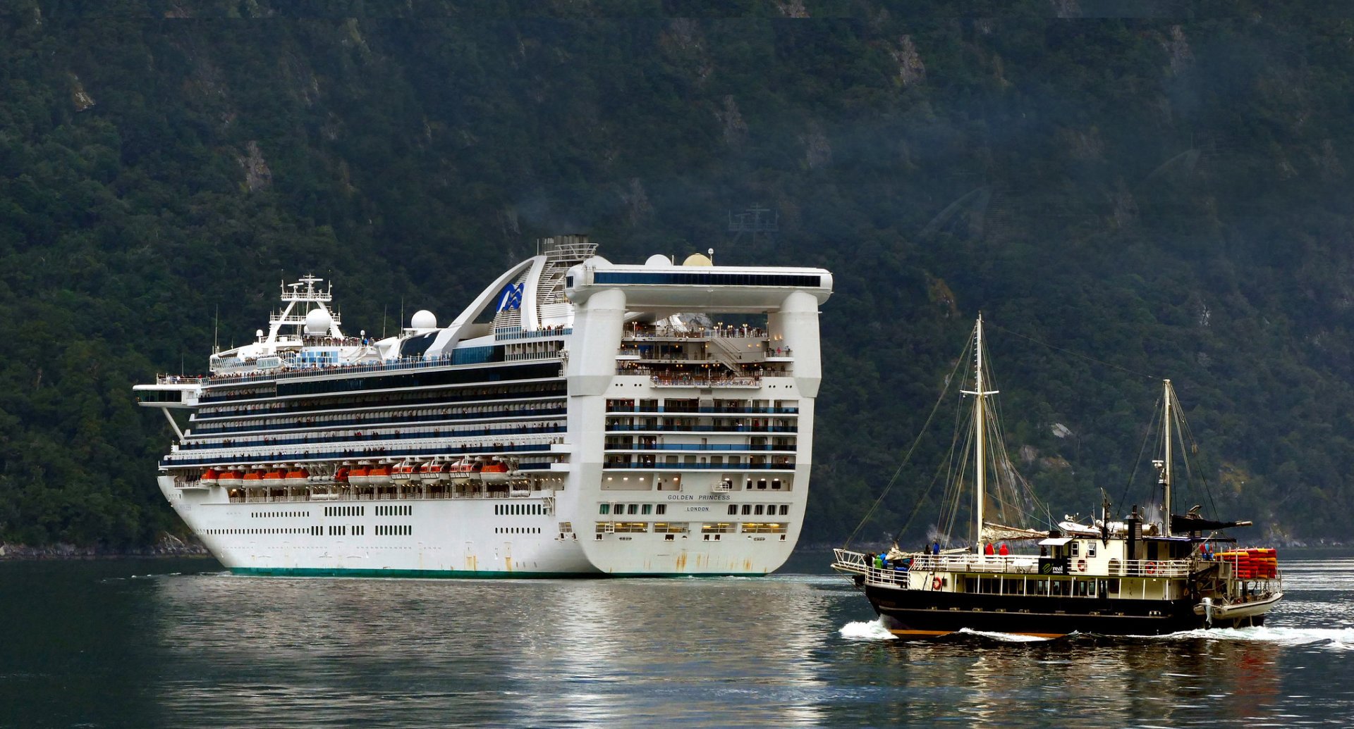 New Zealand Cruises