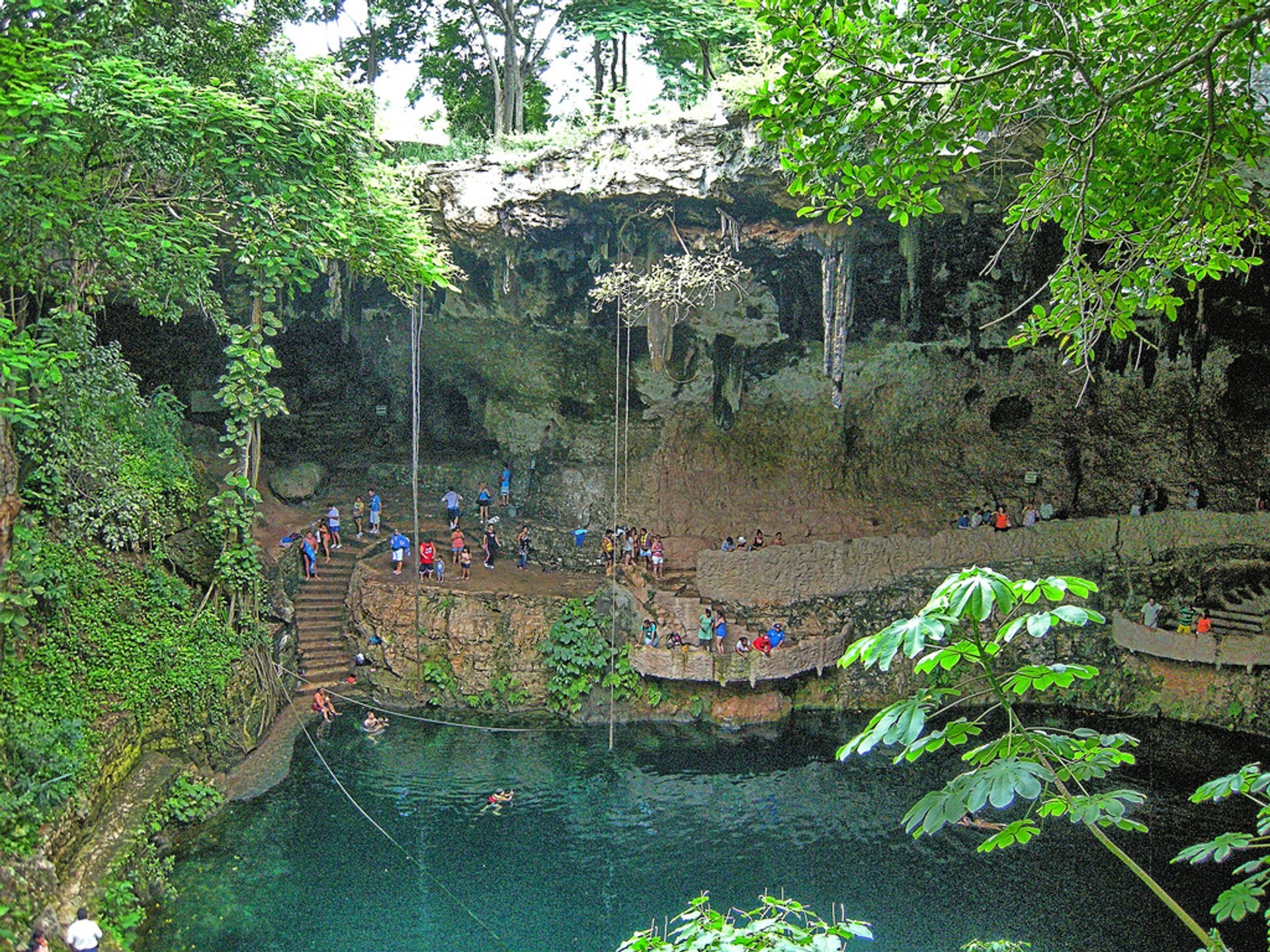 Maya Jungles