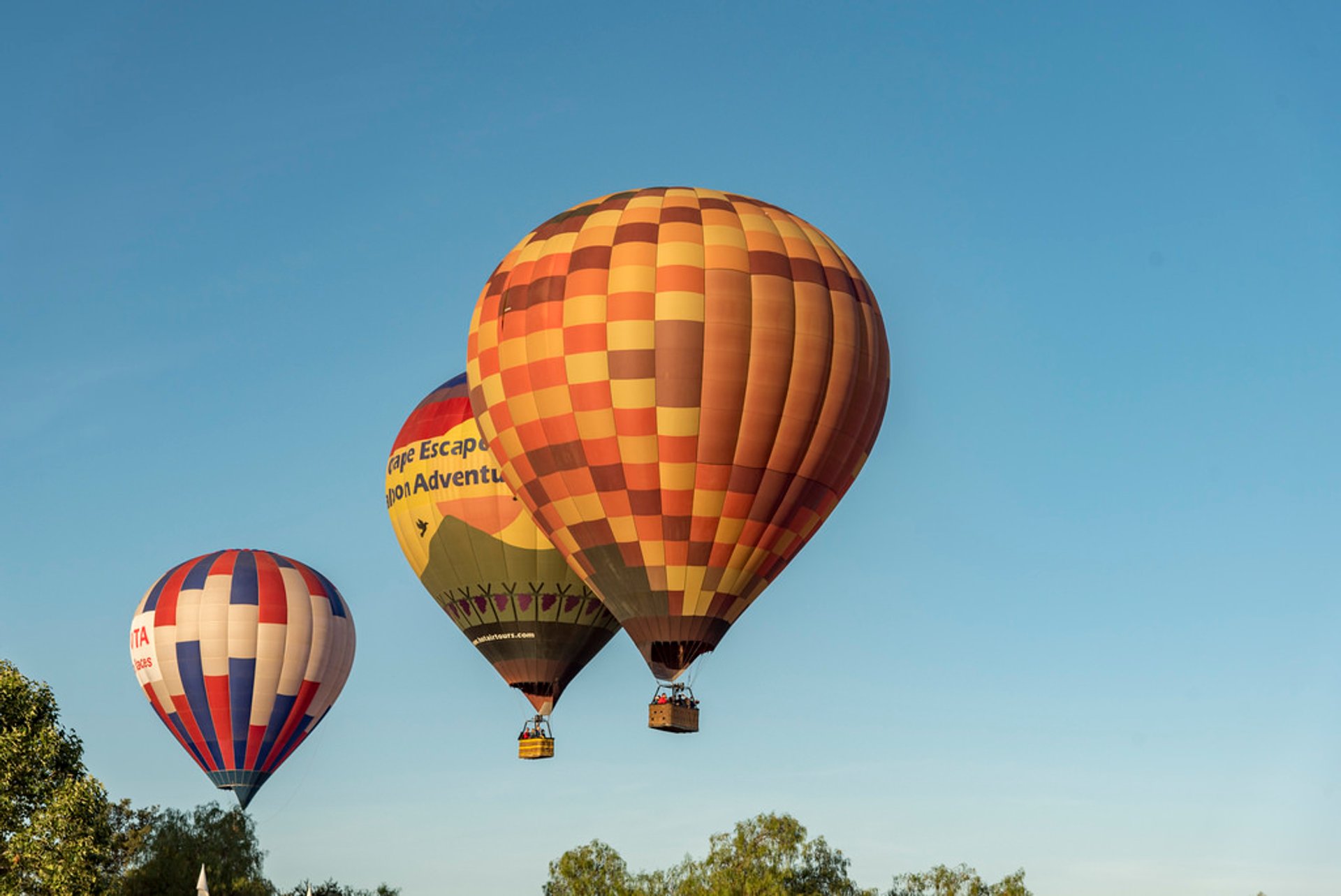 Temecula Valley Balloon & Wine Festival